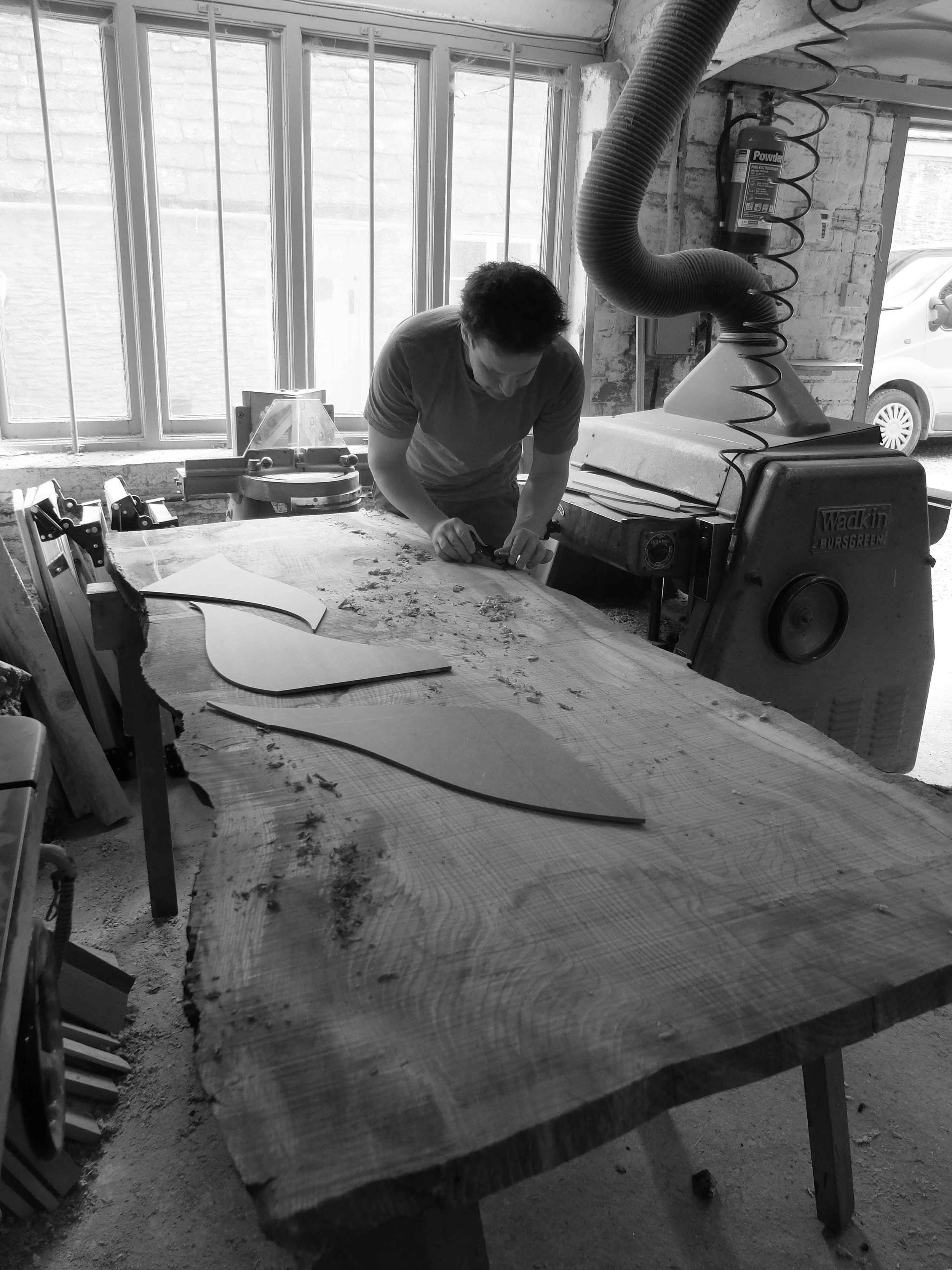 elm-grain-selection.jpg