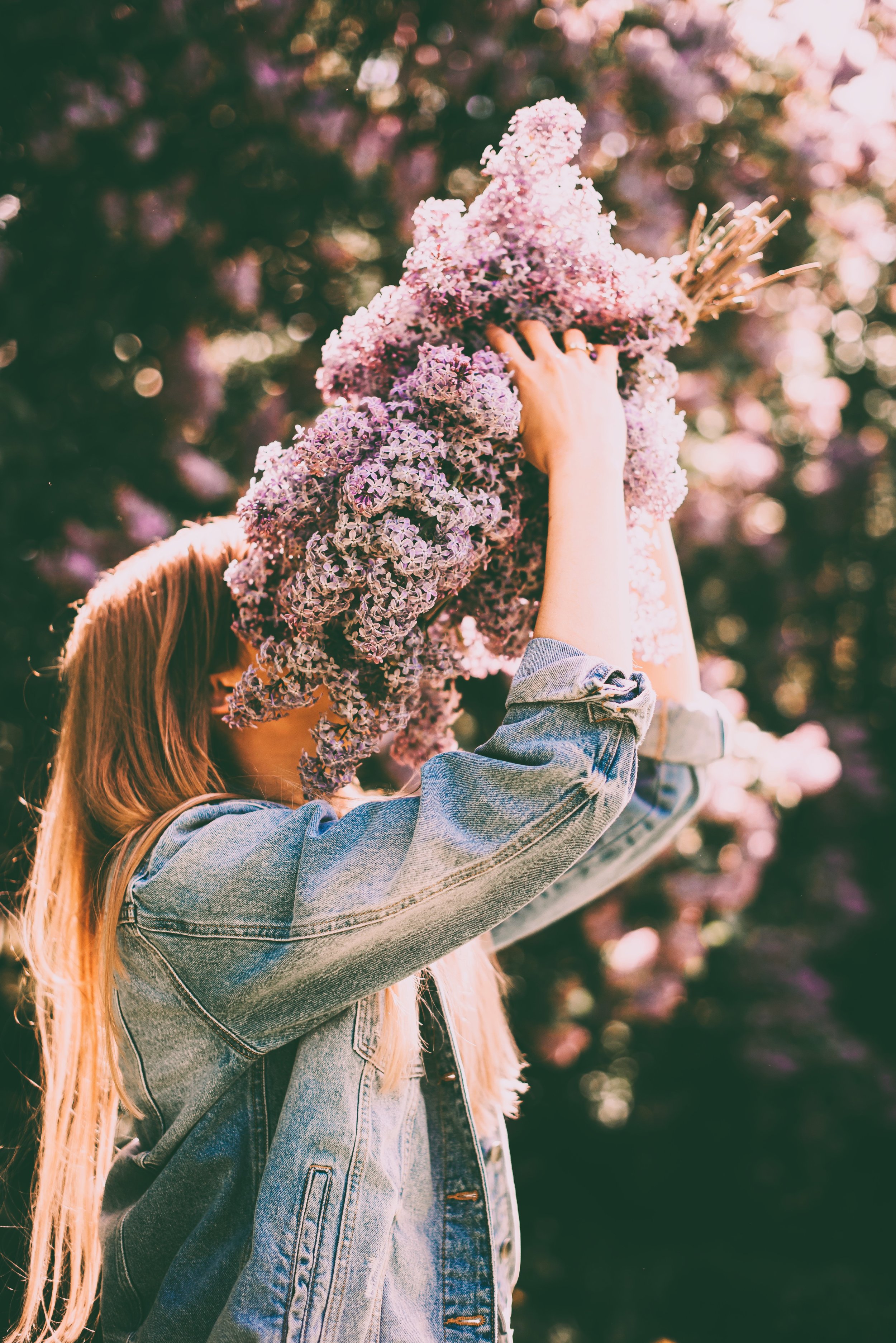 A woman wearing a denim jacket holds a large bouquet of pink and purple lilacs in front of her face, surrounded by blooming purple lilacs and sunlight.
