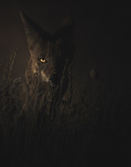 What is Shadow Work? - Part 2
