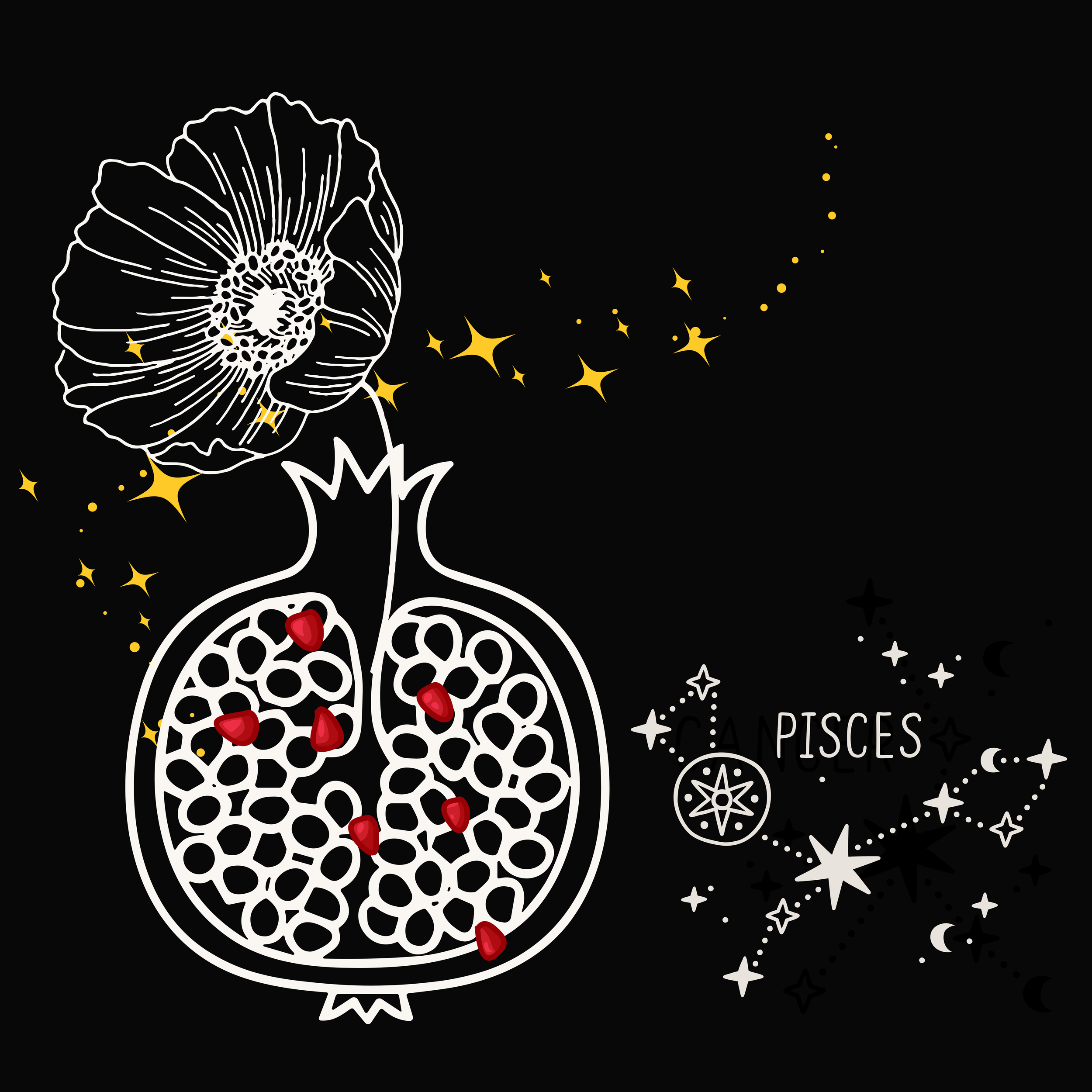 PISCES