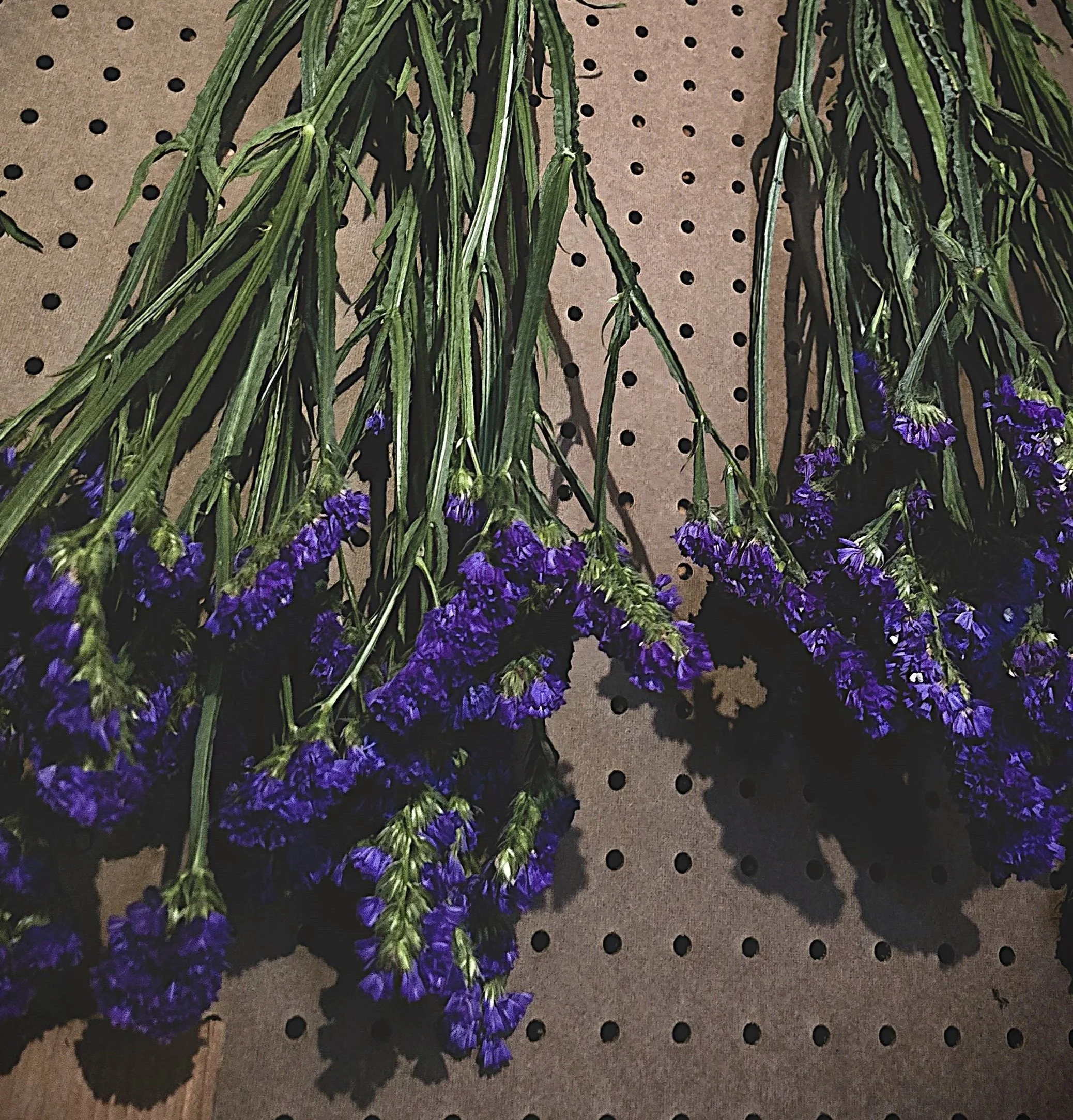 20250922_164414.jpg