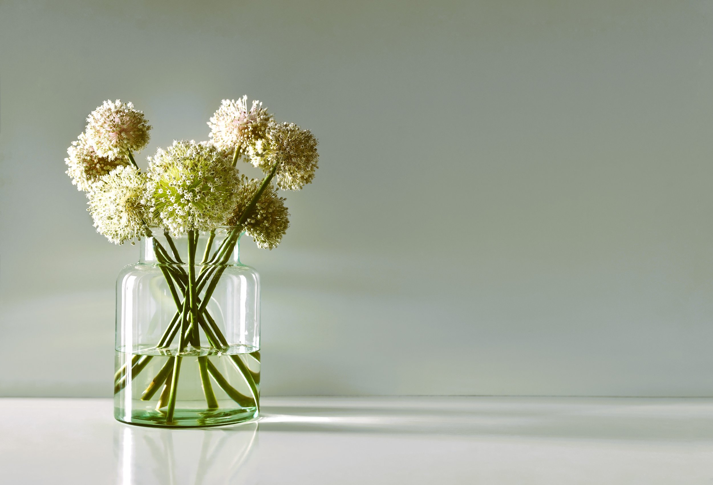 AdobeStock_211407543.jpeg