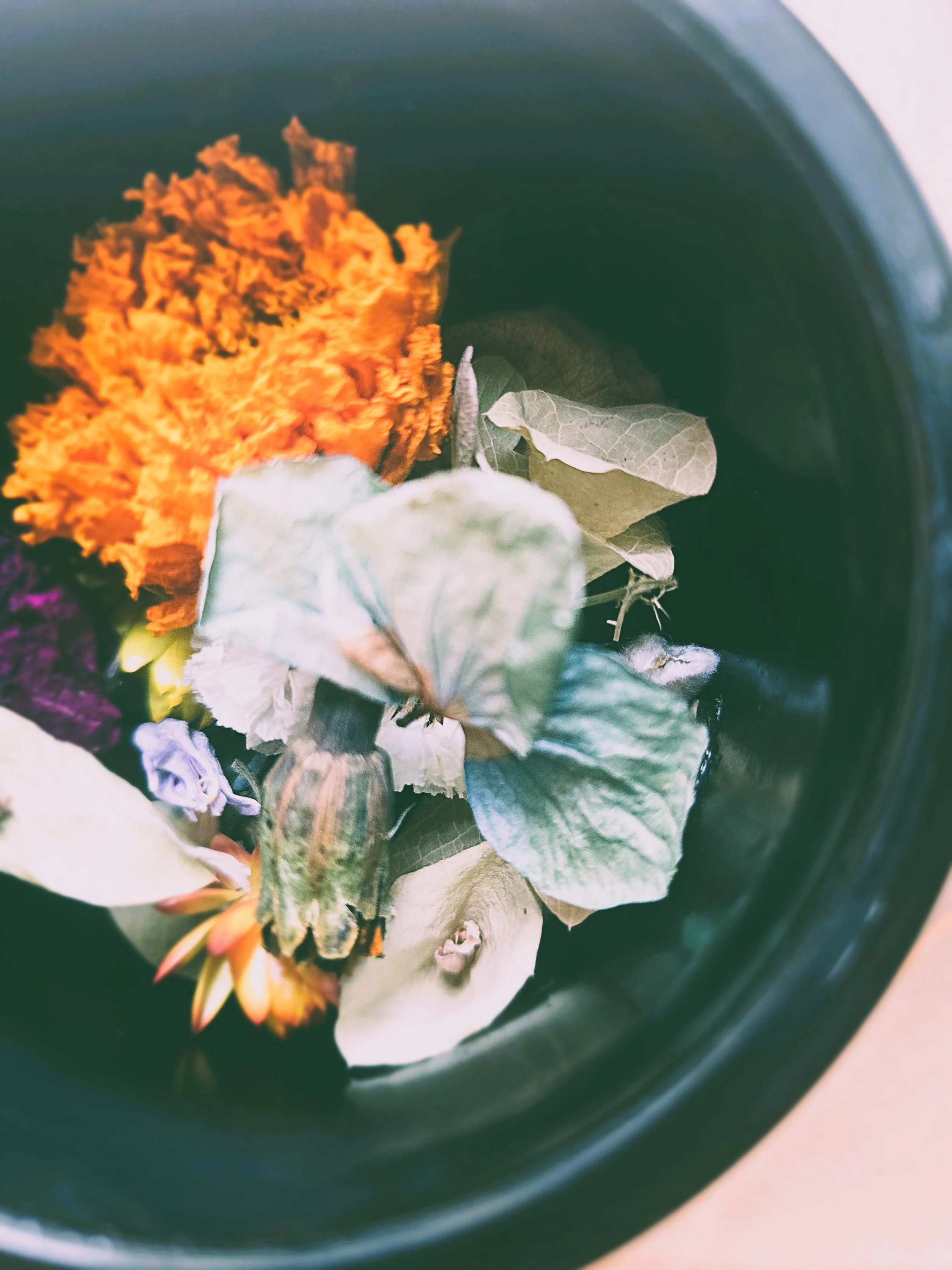 20251023_120916.jpg