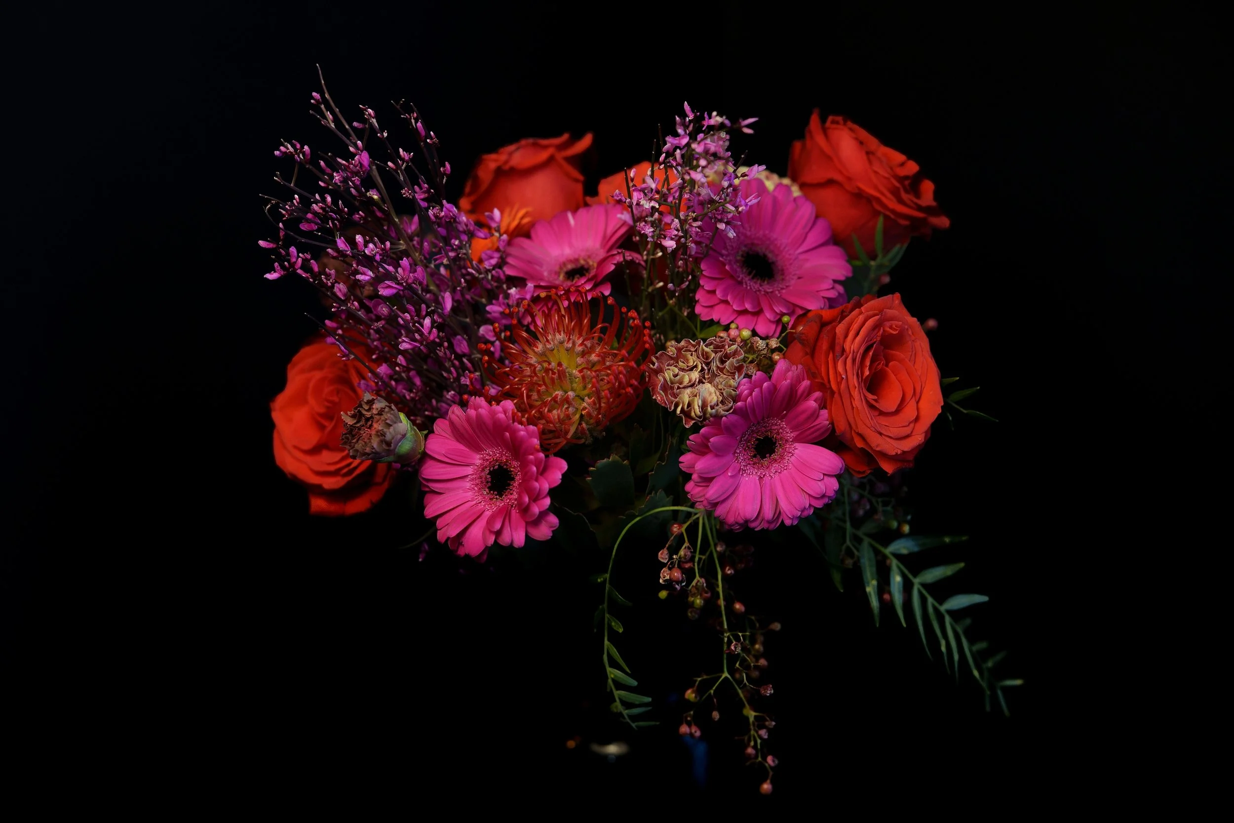 DSC05077.jpg