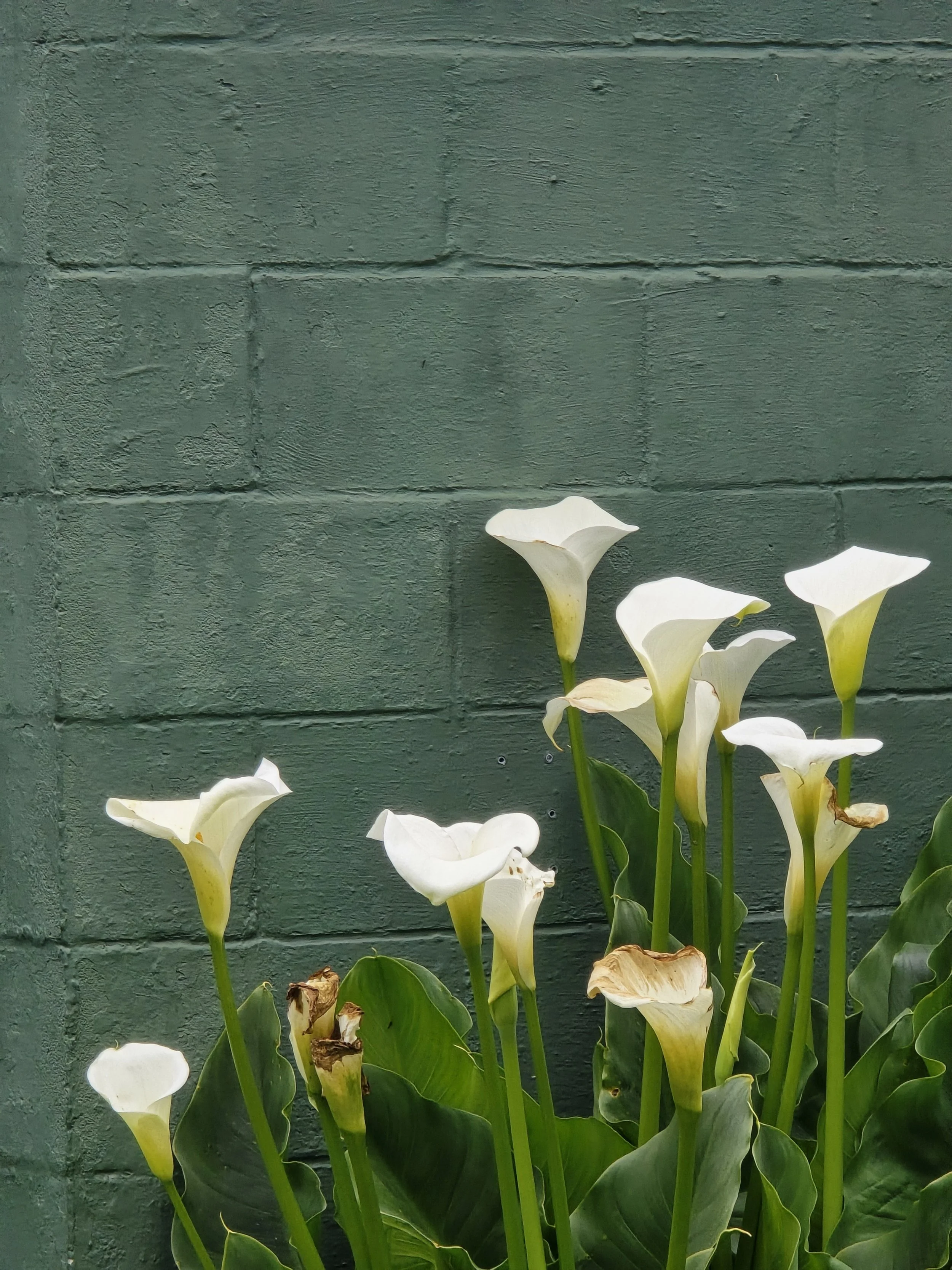 20250507_110837.jpg
