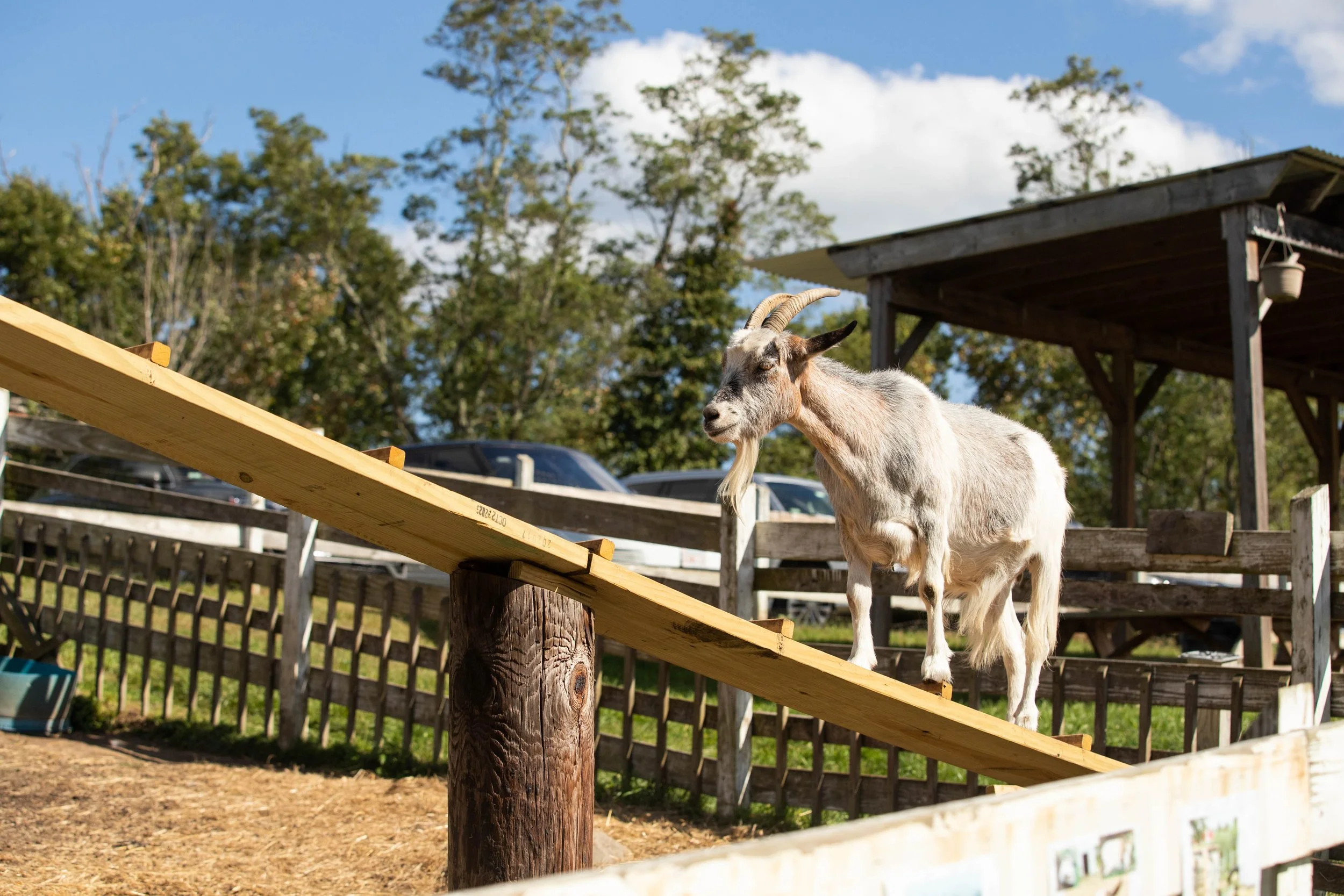 Moniker_Adams Farm-17.jpg
