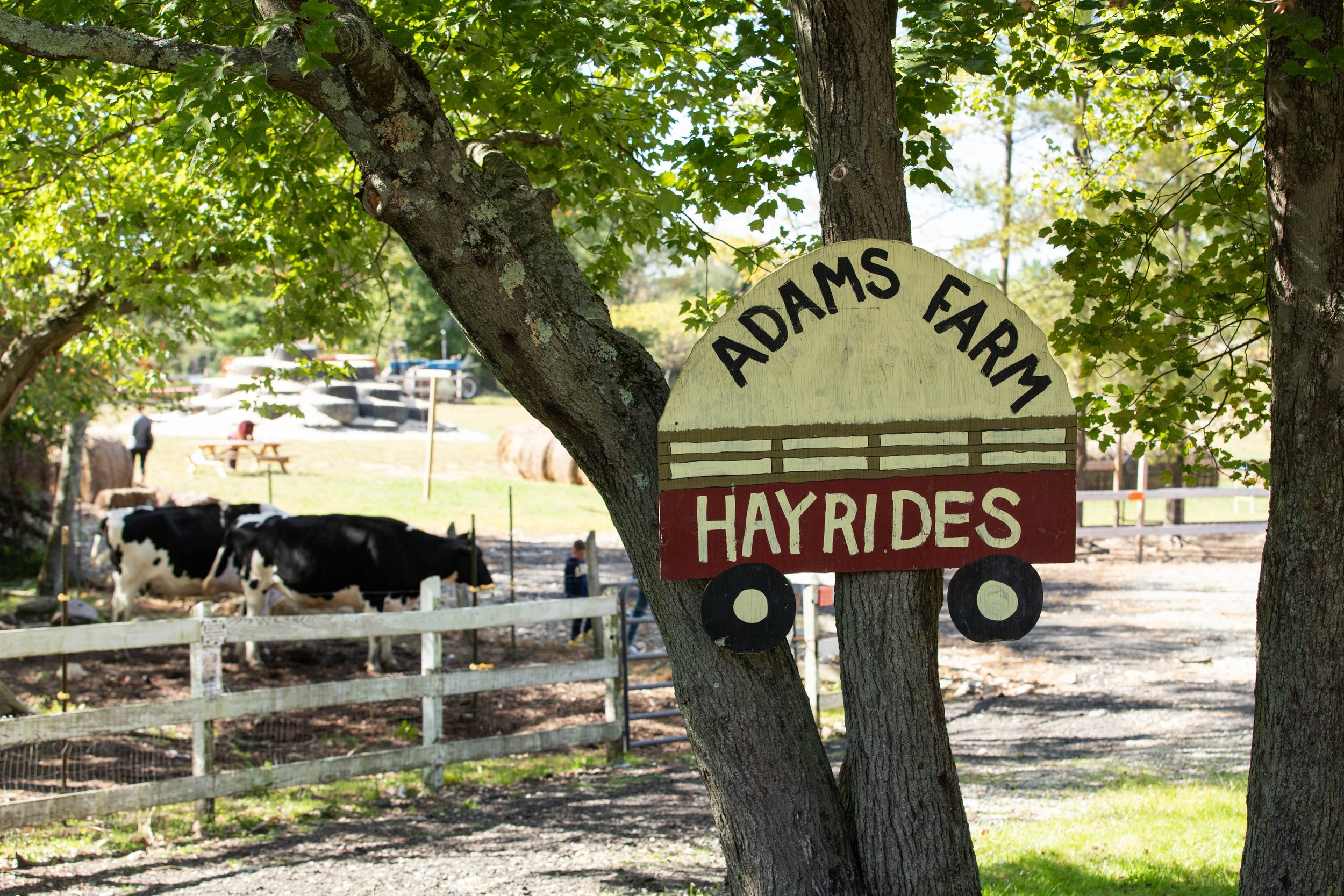 Moniker_Adams Farm-52.jpg