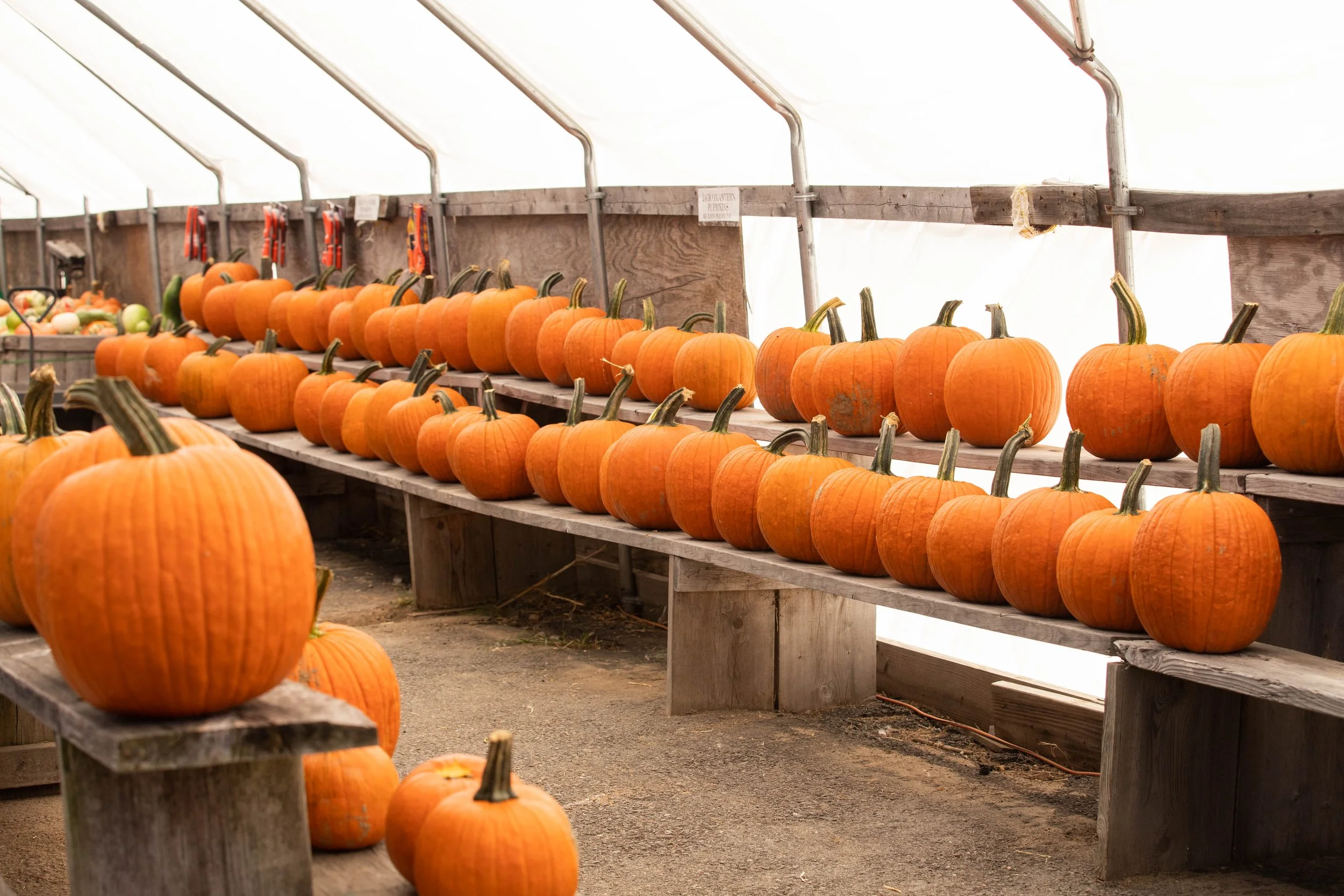 Moniker_Adams Farm-22.jpg