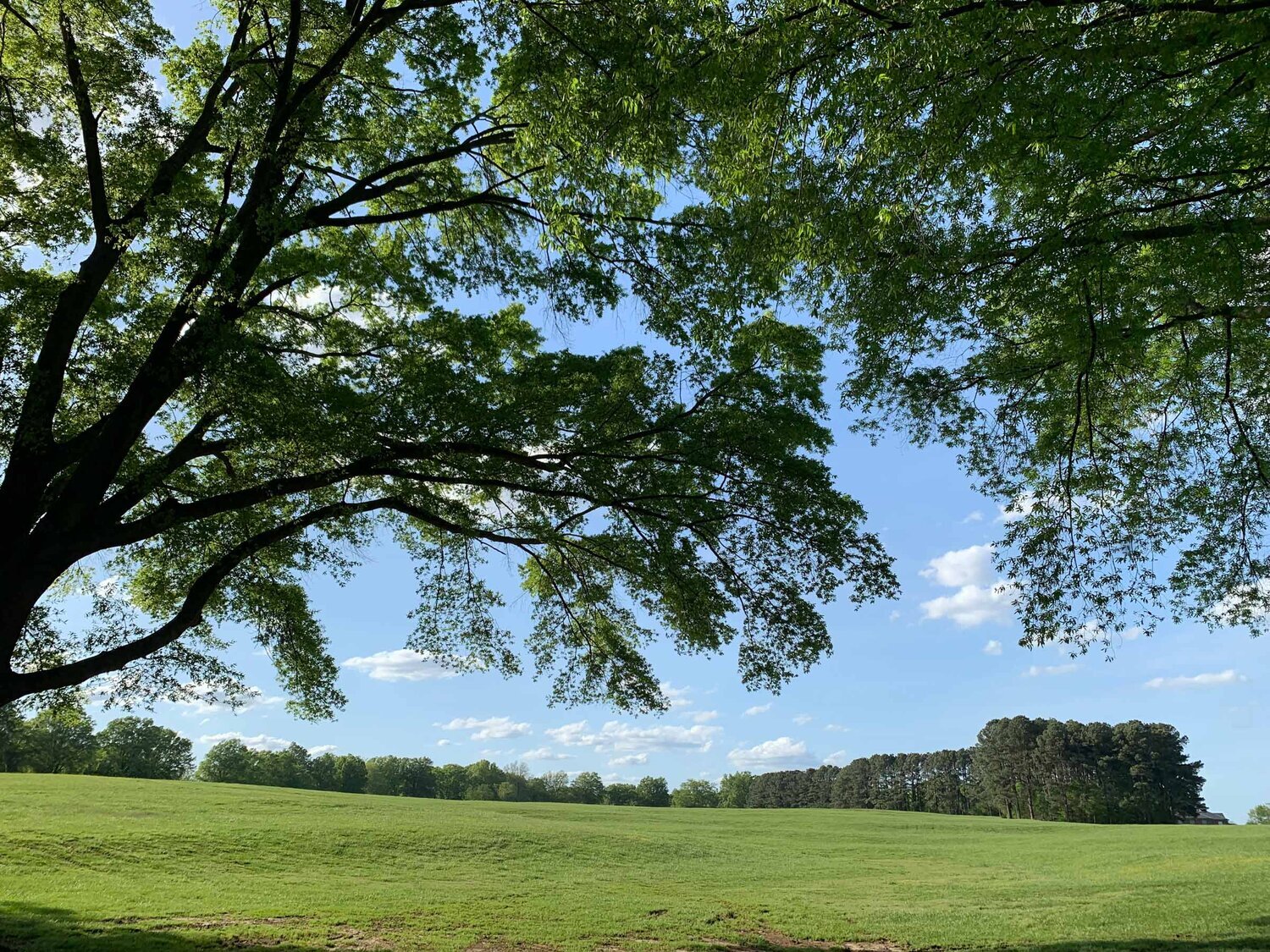 Dix Park Conservancy | A Park for Everyone. Built by Everyone.