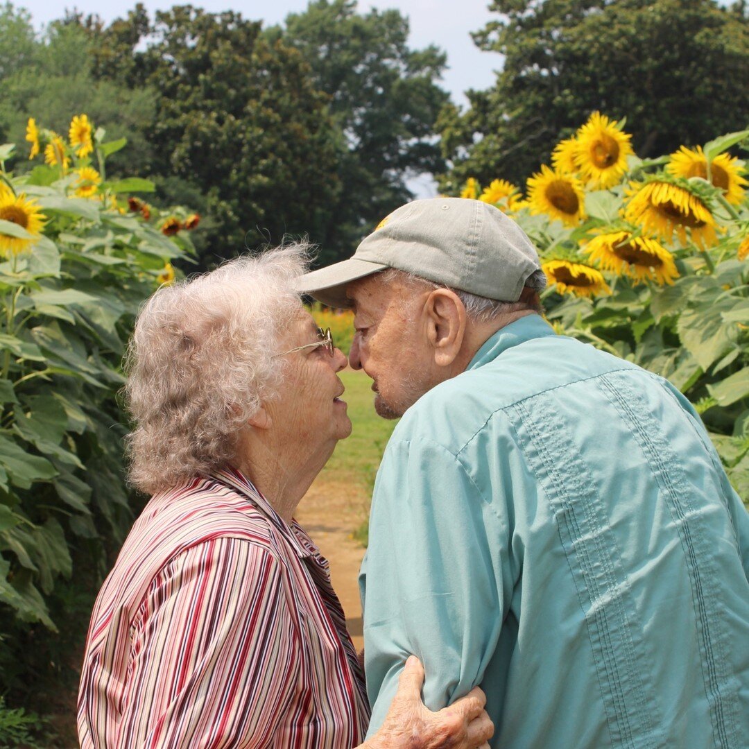 &quot;Love is in the Air&quot; - Dix Park Sunflower photo submission by Wendy. You can see more submissions at dixparkconservancy.org/sunflowers and can vote for your favorite. 🌻