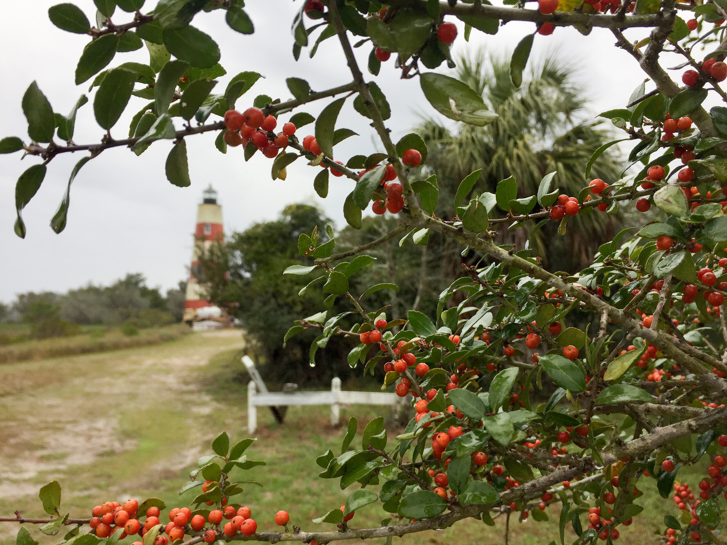 Sapelo Island Lighthouse, Sapelo Island, GA. Archival ink photographic print  © 2020