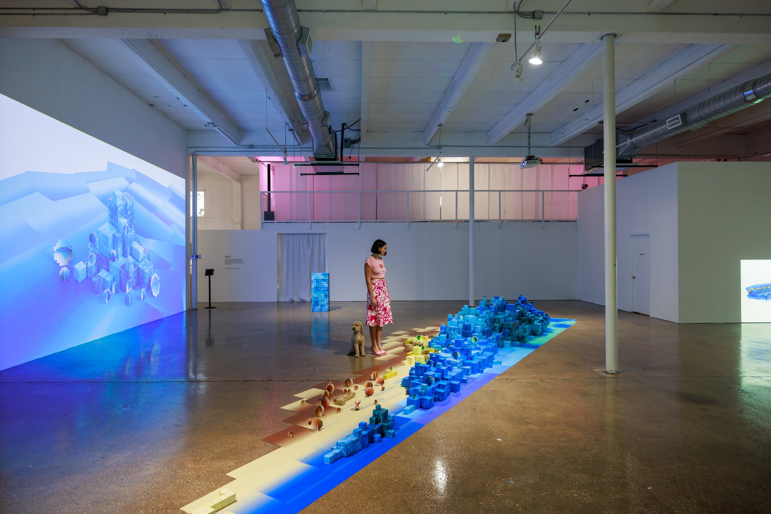 Jaye Rhee, Fragile Terrain, 2025. Installation view at Locust Projects. Photo by Pedro Wazzan 12.jpg
