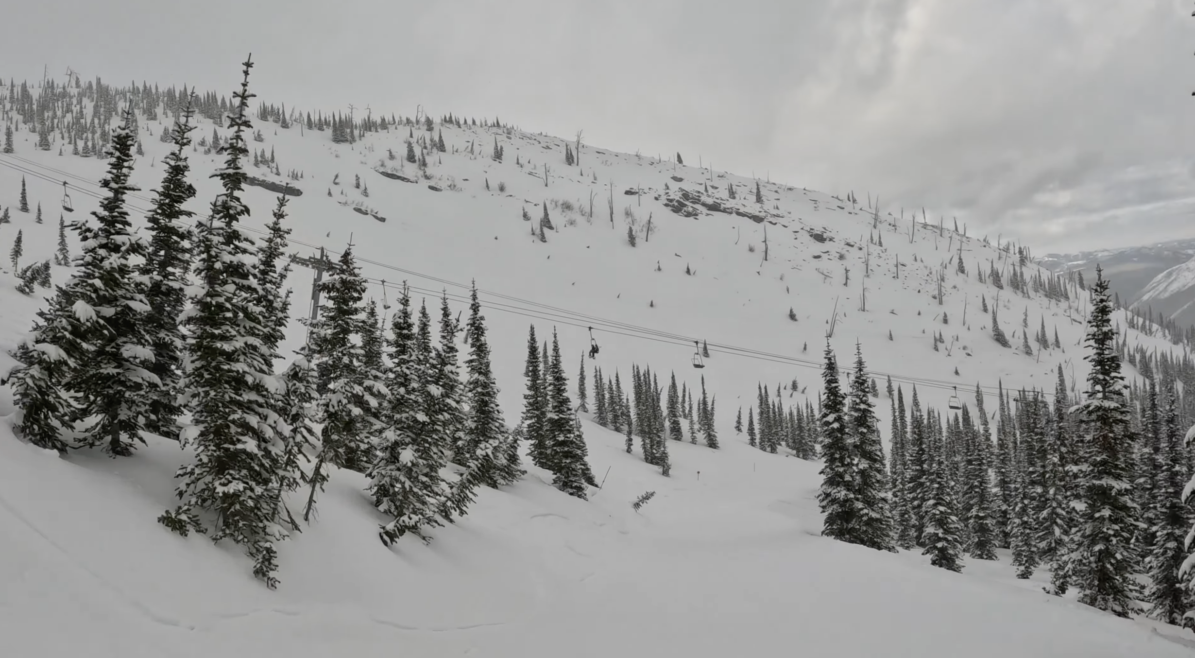 Skiing in a wooded area of Castle Mountain ski resort, Alberta, on a cloudy day