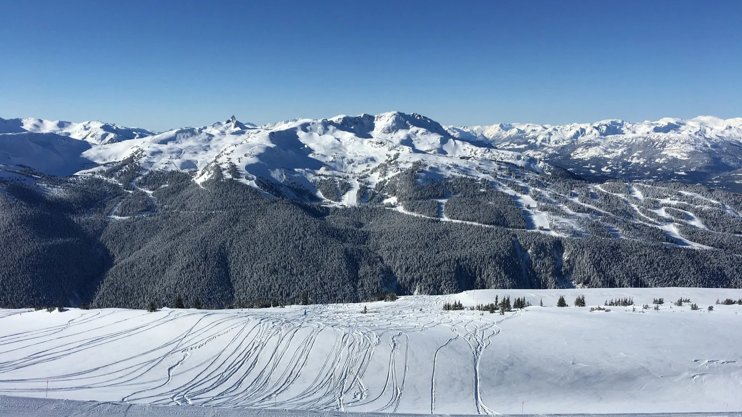 Whistler Blackcomb Ski Resort Review | British Columbia — PeakRankings