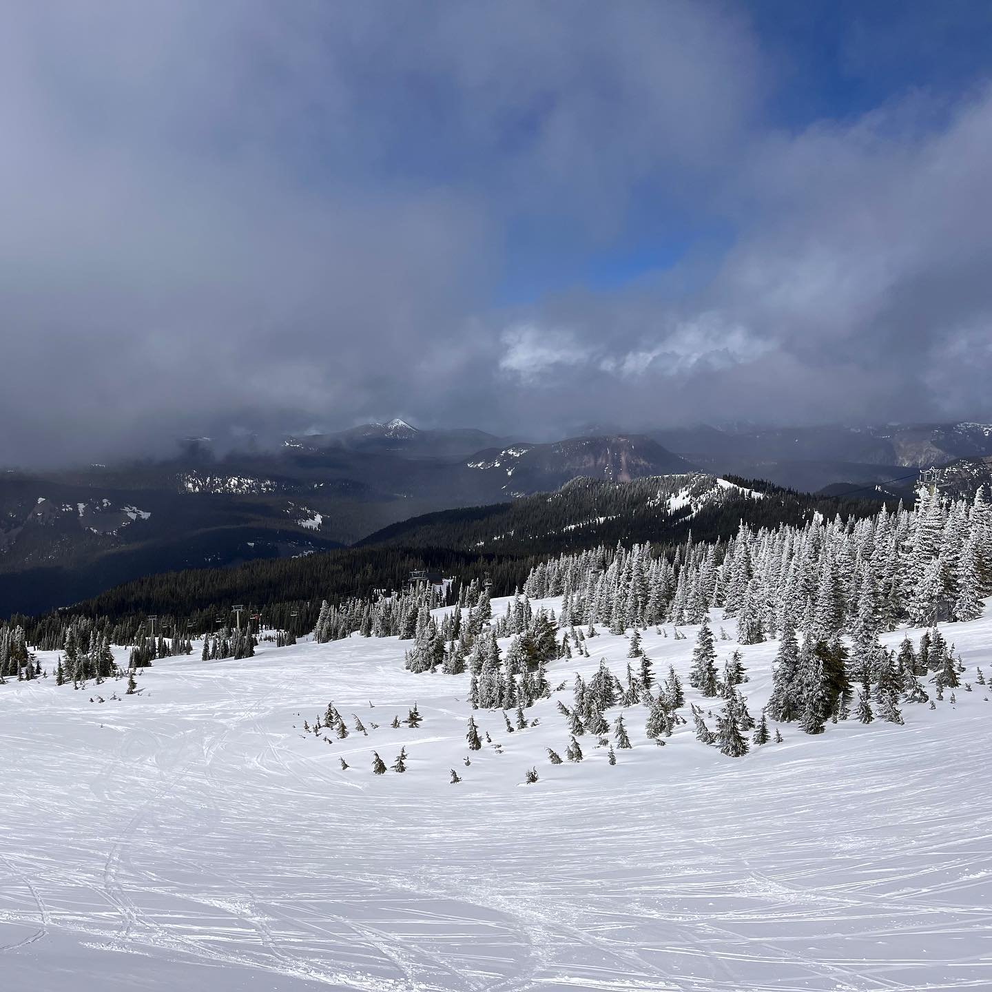 INITIAL IMPRESSIONS @whitepass, WA:
- Beautiful setting, with fantastic views of Rainier on clear days, though sadly the mountain hid behind clouds all day for our visit.
- Great near-treeline intermediate terrain, with rolling groomers and islands o