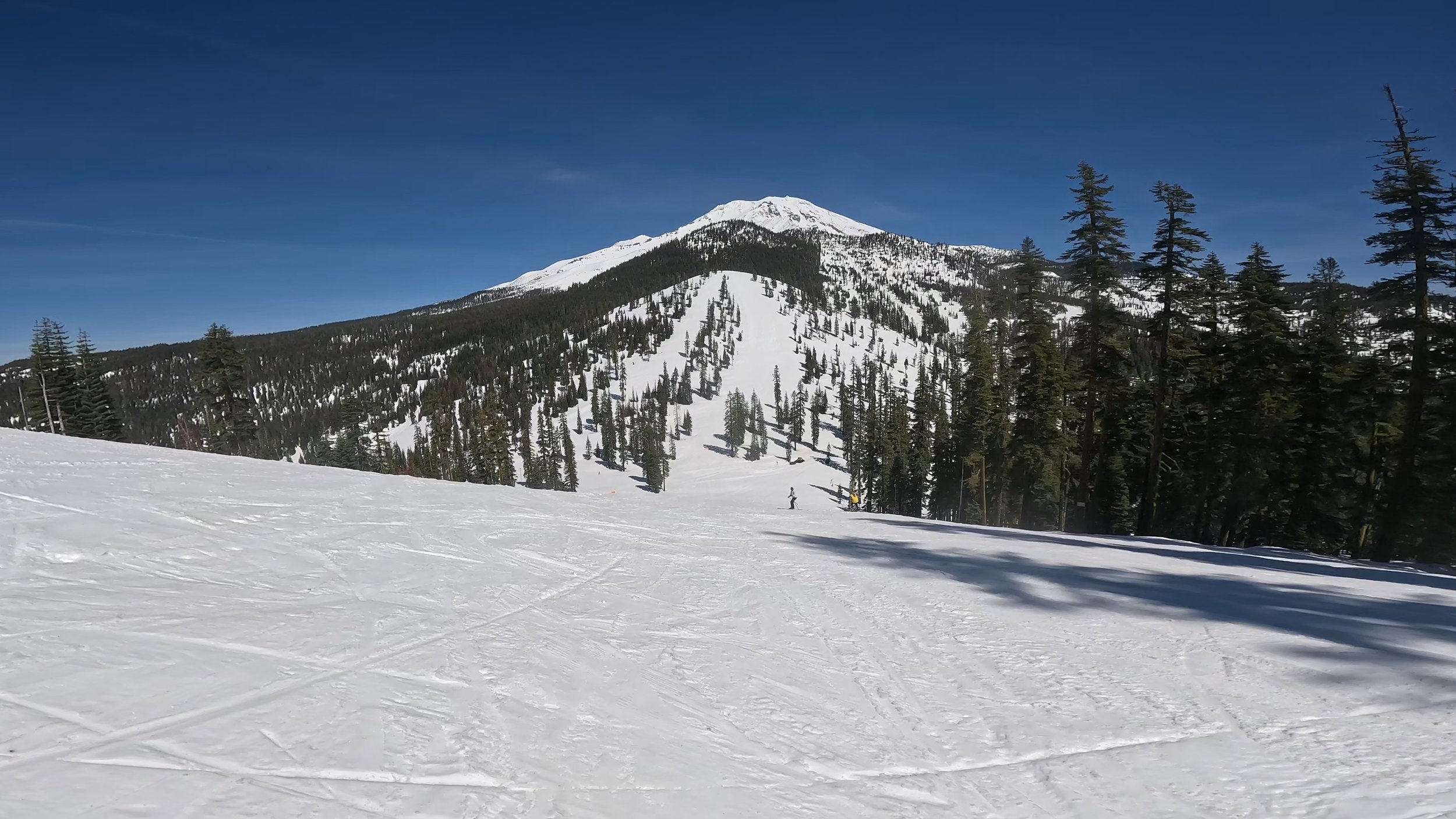 Mountain Review: Mount Shasta Ski Park