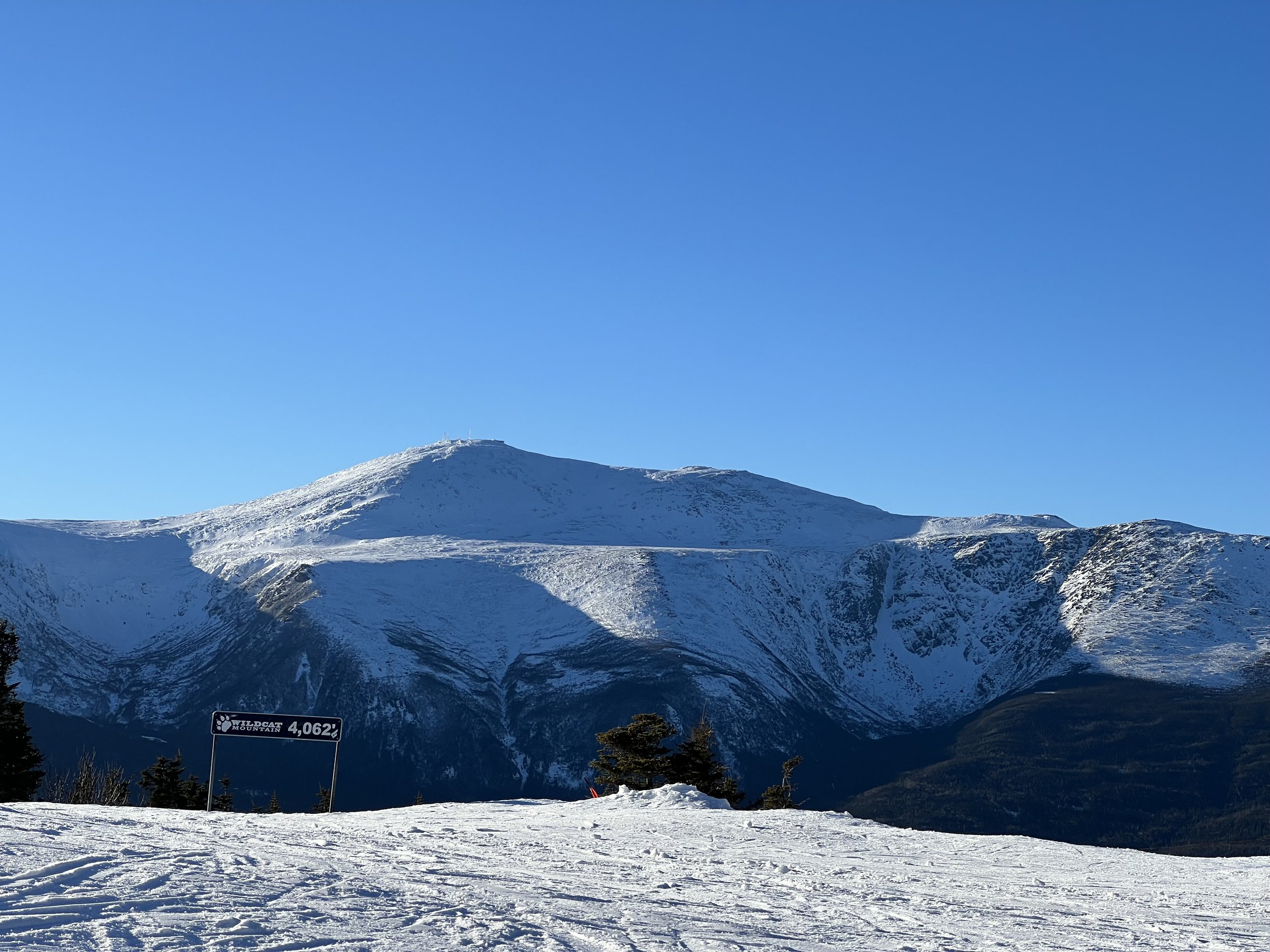 Mountain Review: Wildcat
