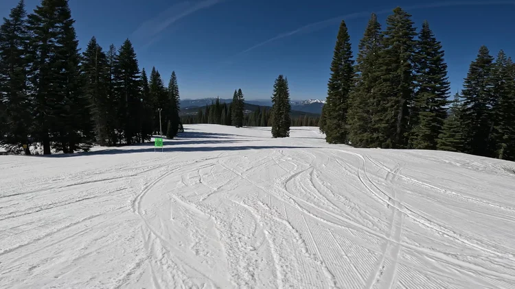 Mount Shasta Ski Park Review | California — PeakRankings