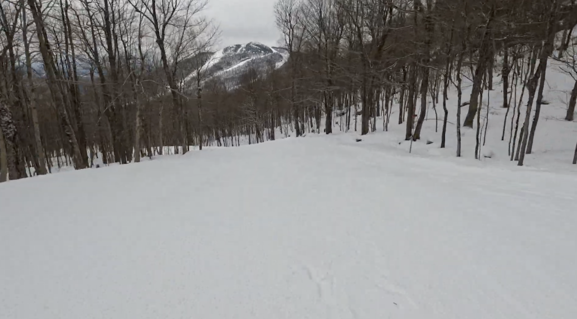 Skiing through trees at Mont Orford, Quebec