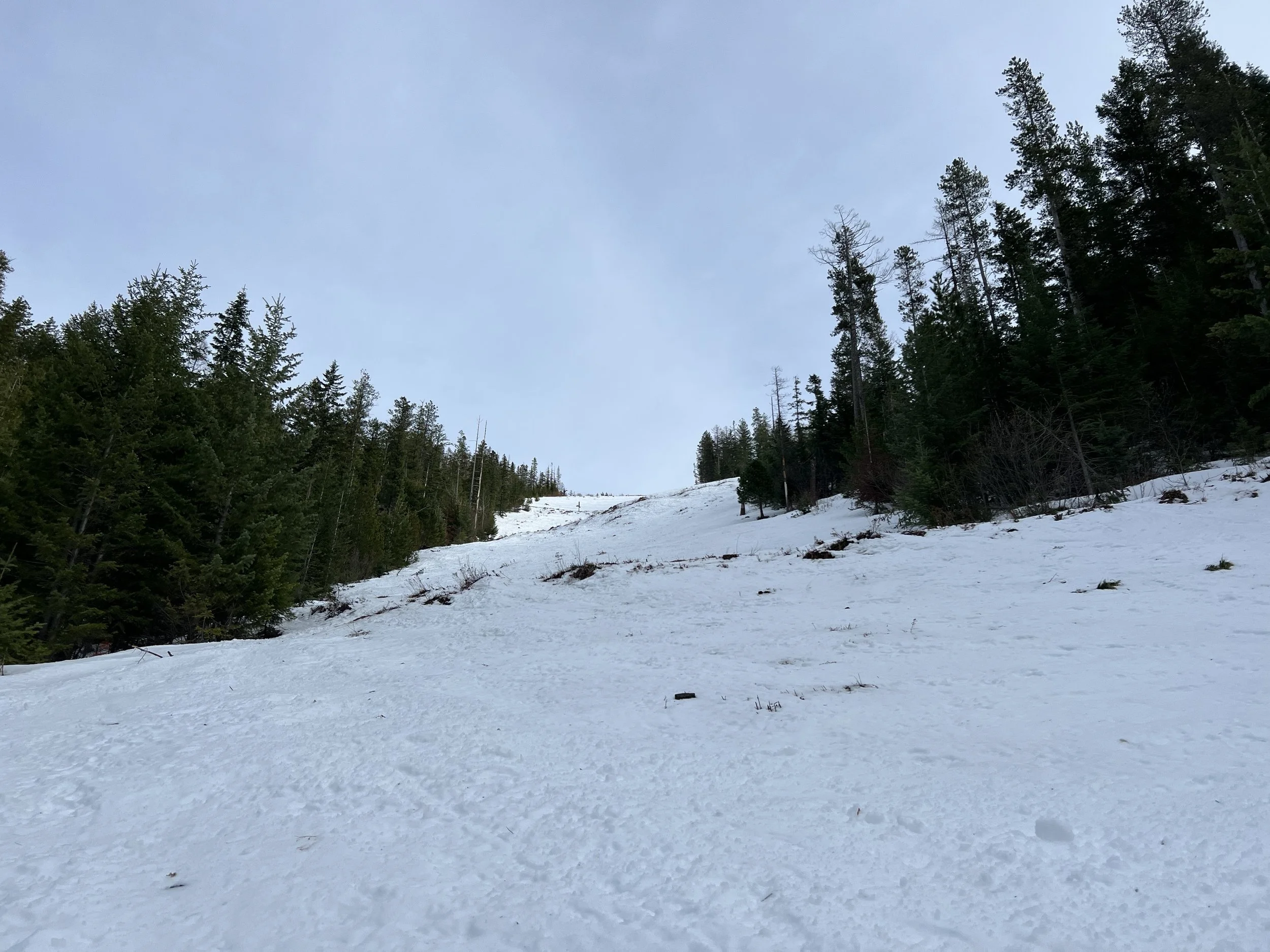 Looking up a steep, snow-covered run lined with evergreens at Silver Mountain