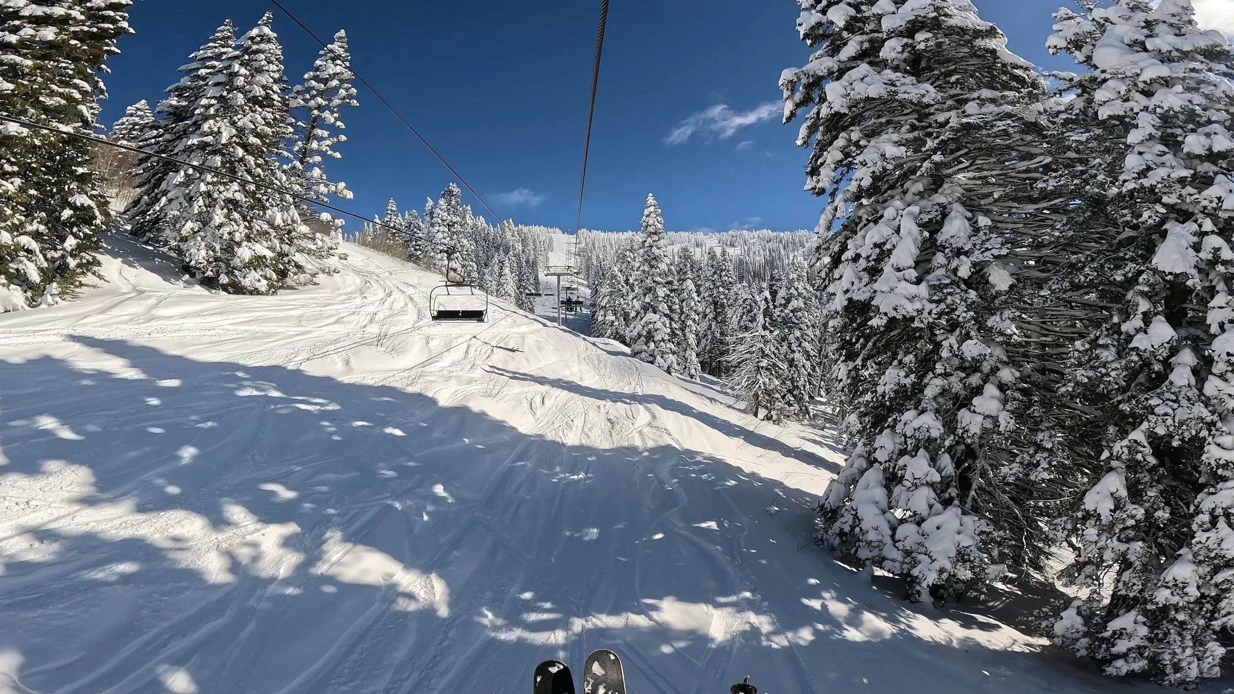 View from the Bluebird Express chairlift over snow-covered trees at Brundage