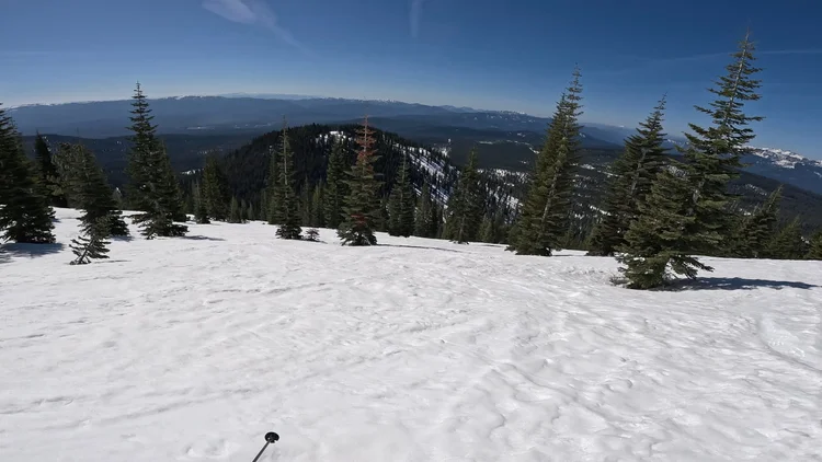 Mount Shasta Ski Park Review | California — PeakRankings