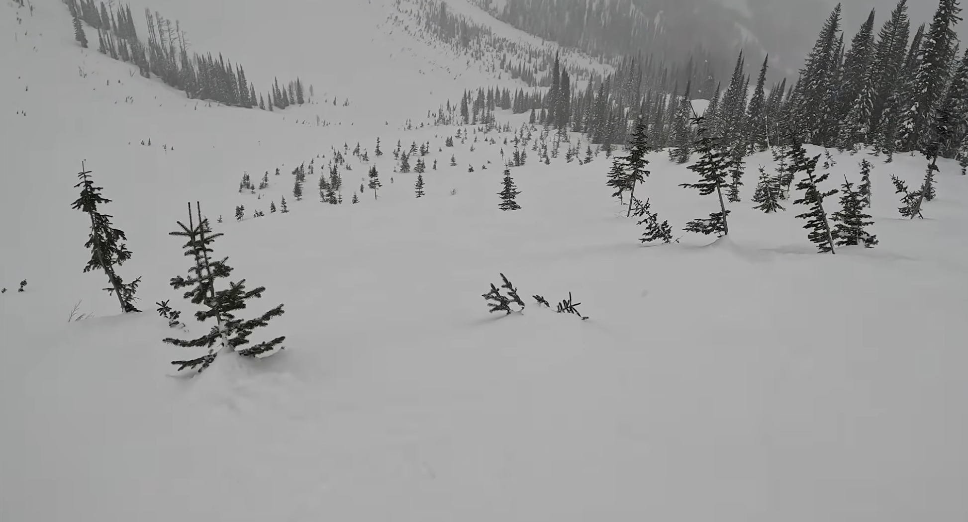 A steep snowy slope with small trees and bushes, Whitewater ski resort, British Columbia