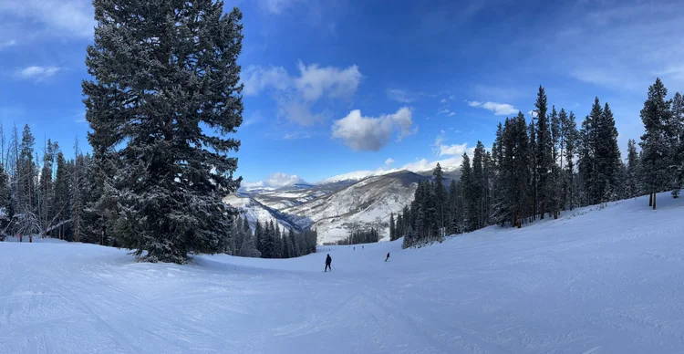 Green vs. Blue vs. Black: Understanding Levels of Ski Resort Terrain ...