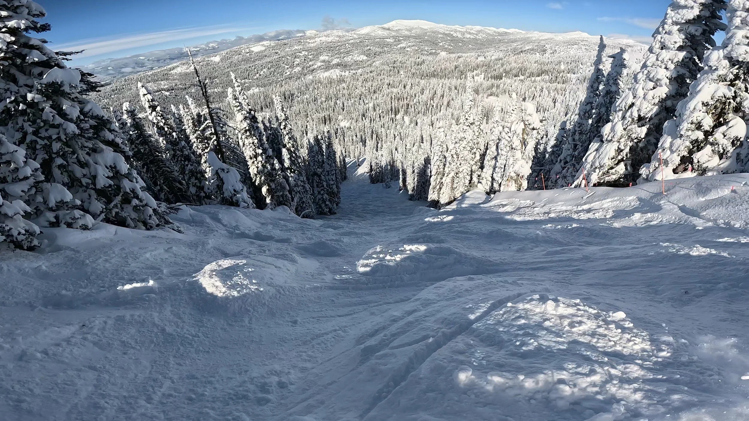 Looking down the Northwest Passage black diamond run at Brundage, with snow-covered forest and mountains beyond