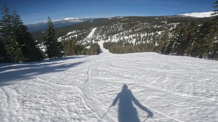 Mount Shasta Ski Park Review | California — PeakRankings