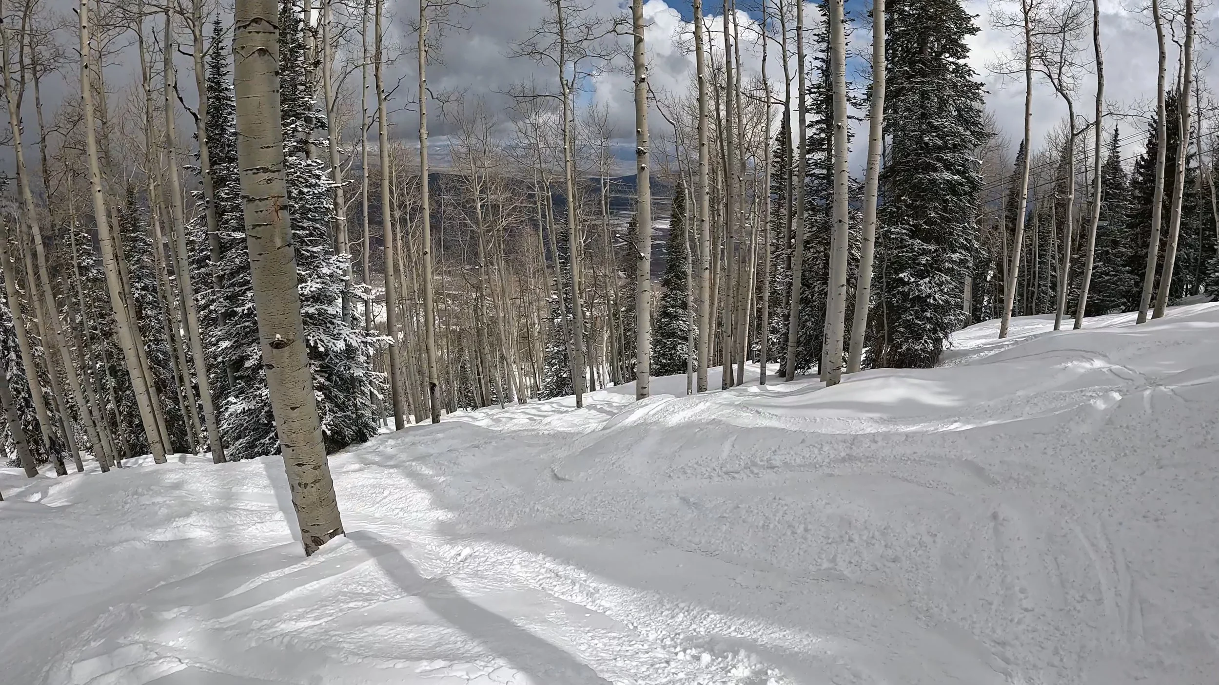 A gladed ski run at Powderhorn ski resort.