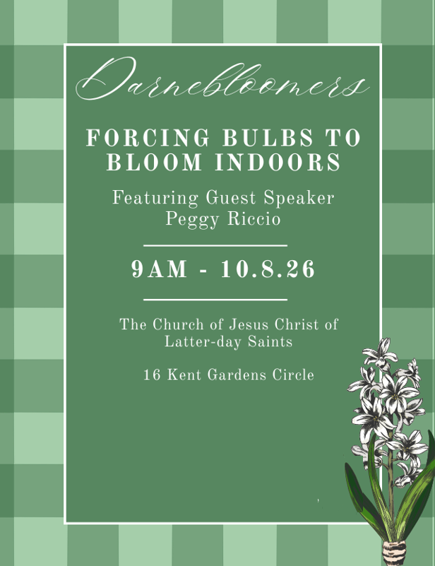 20261008 October Flyer Website.png