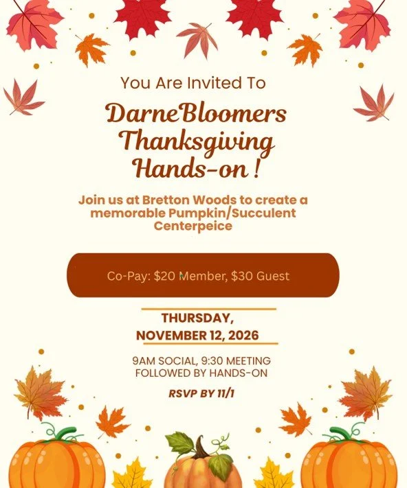 20261112 November Flyer Website.jpg