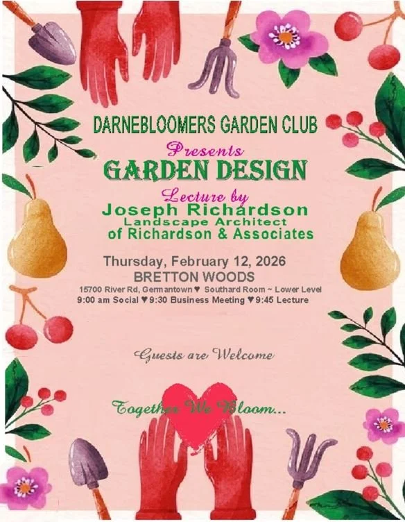 20260212 February Website.JPG