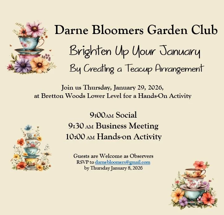 20260129 January Flyer Website.JPG