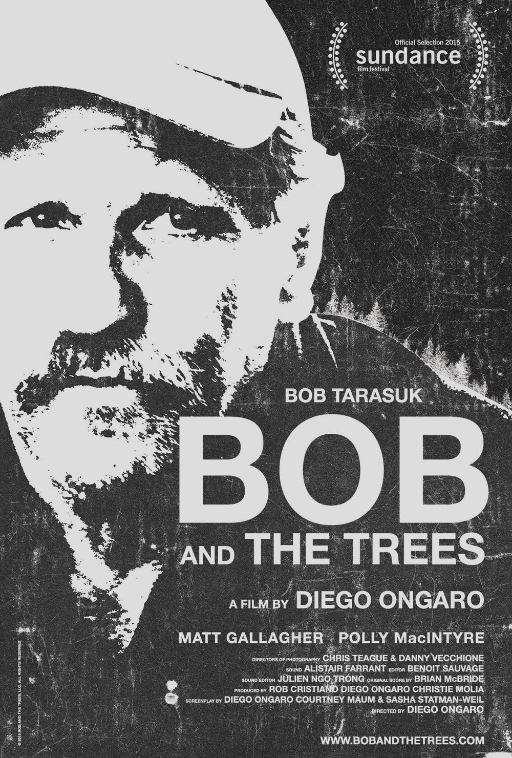 q2010_Bob_and_the_Trees.jpg