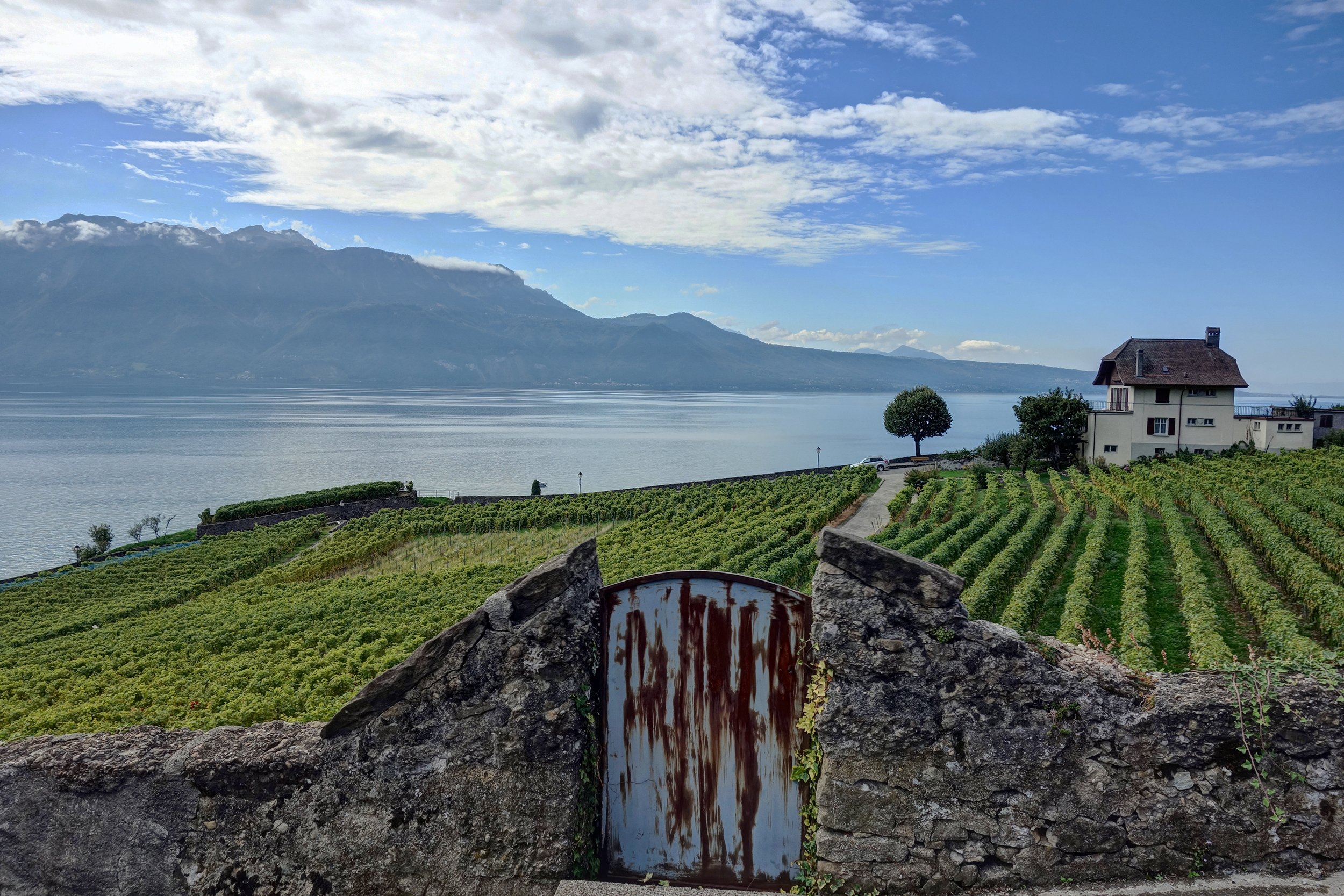 08C- Lavaux 14.JPG
