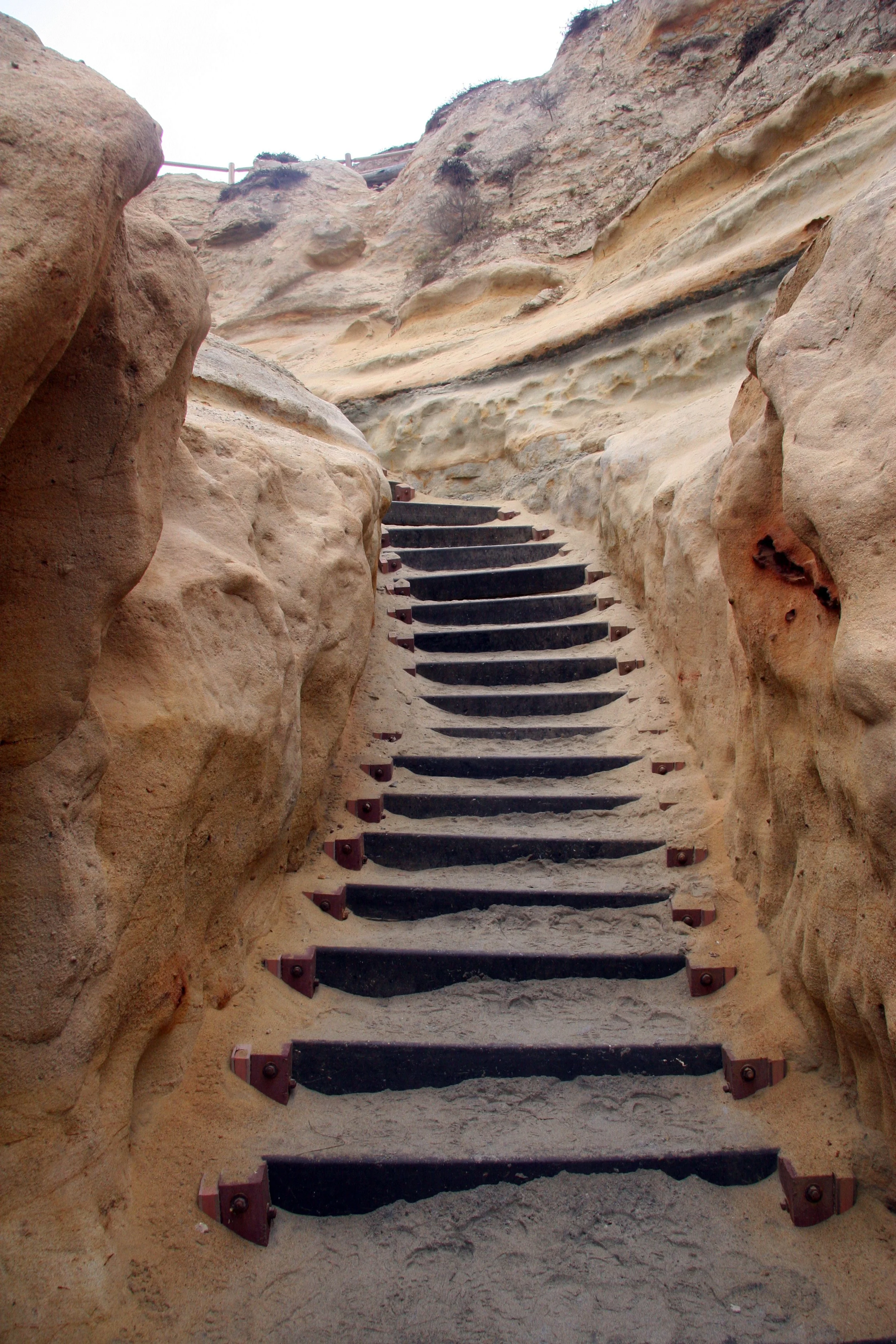 Torrey Pines State Reserve
