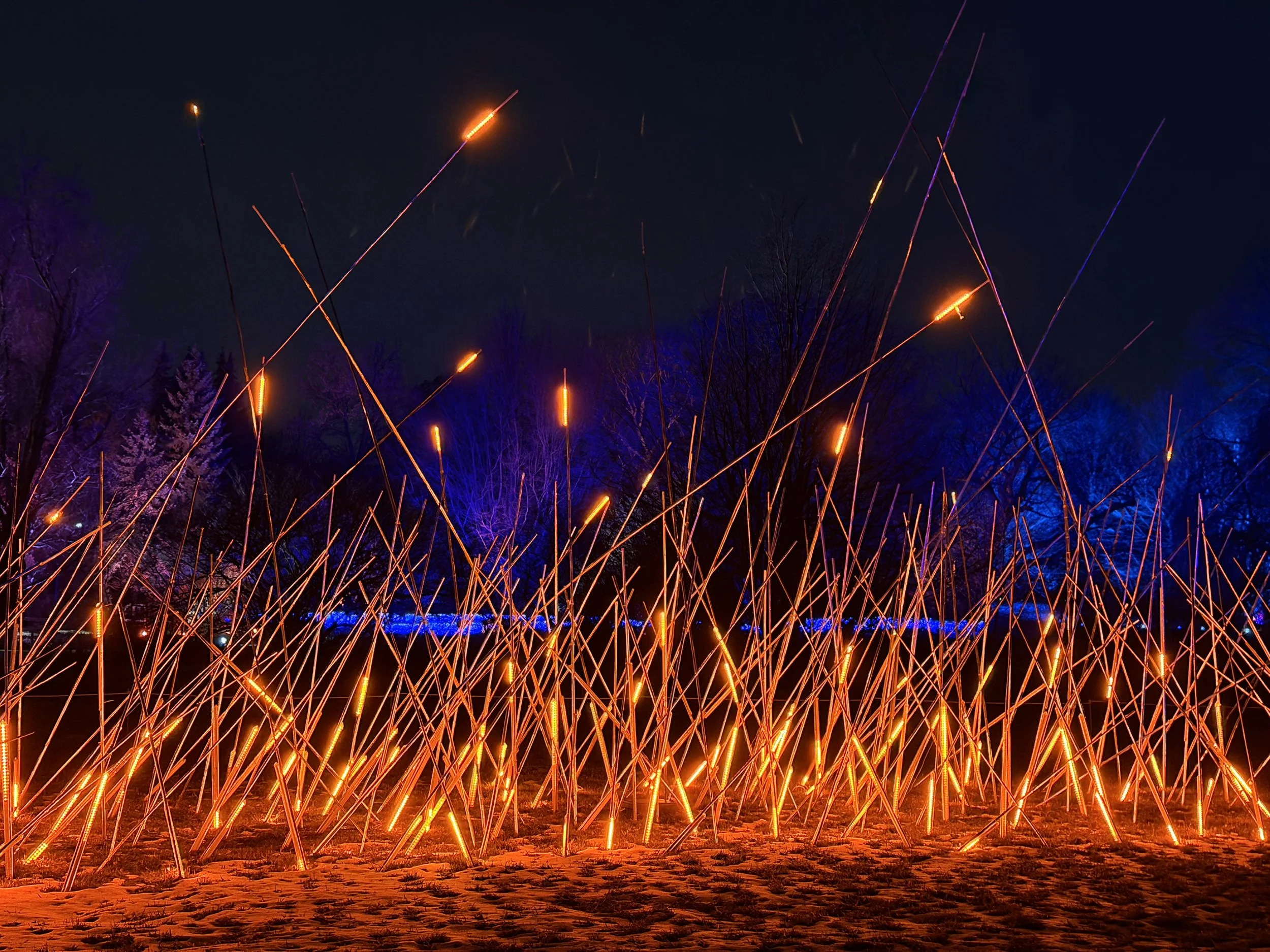Lightscape at the Brooklyn Botanic Gardens