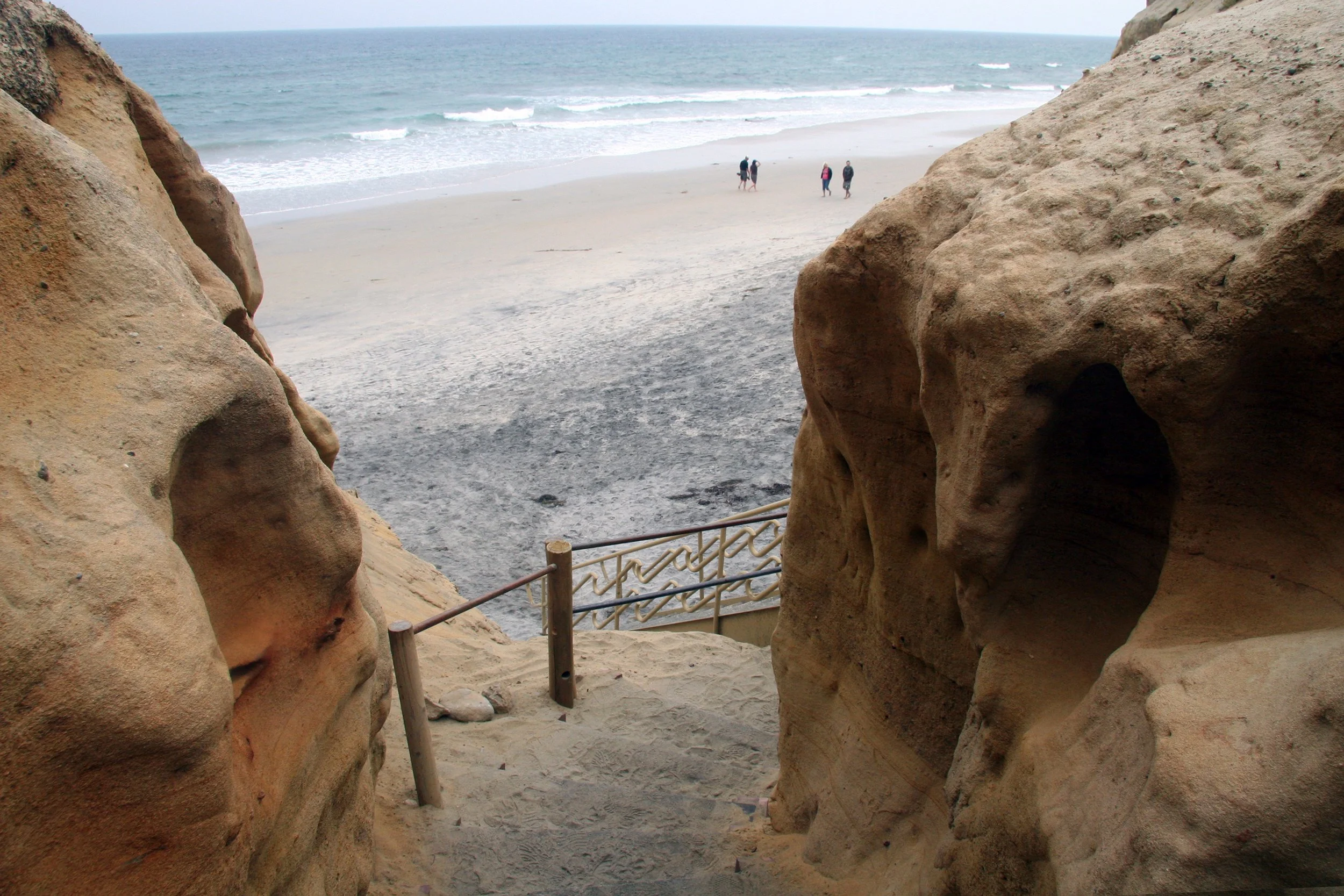 Torrey Pines State Reserve