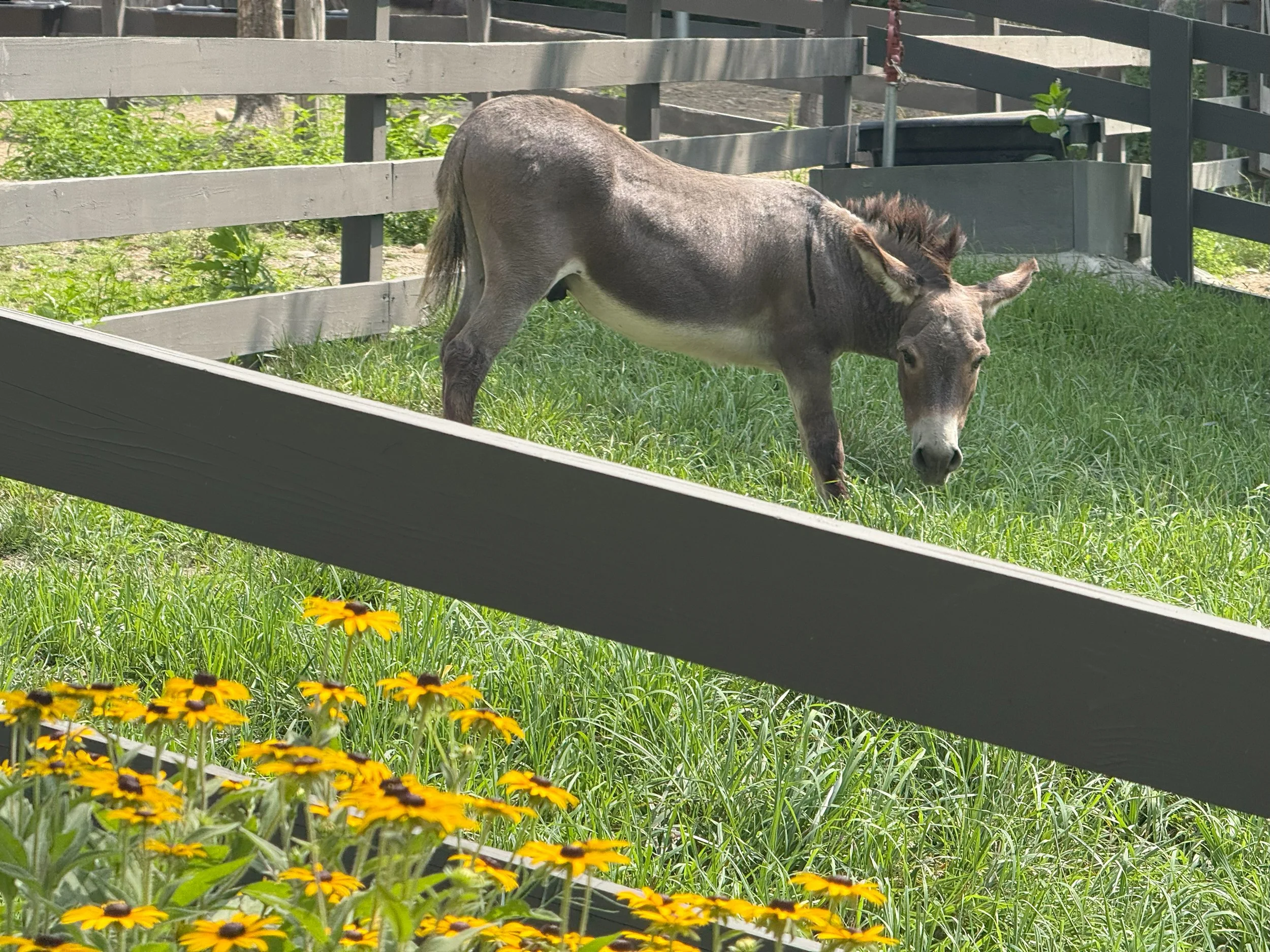 Magazzino Italian Art Museum