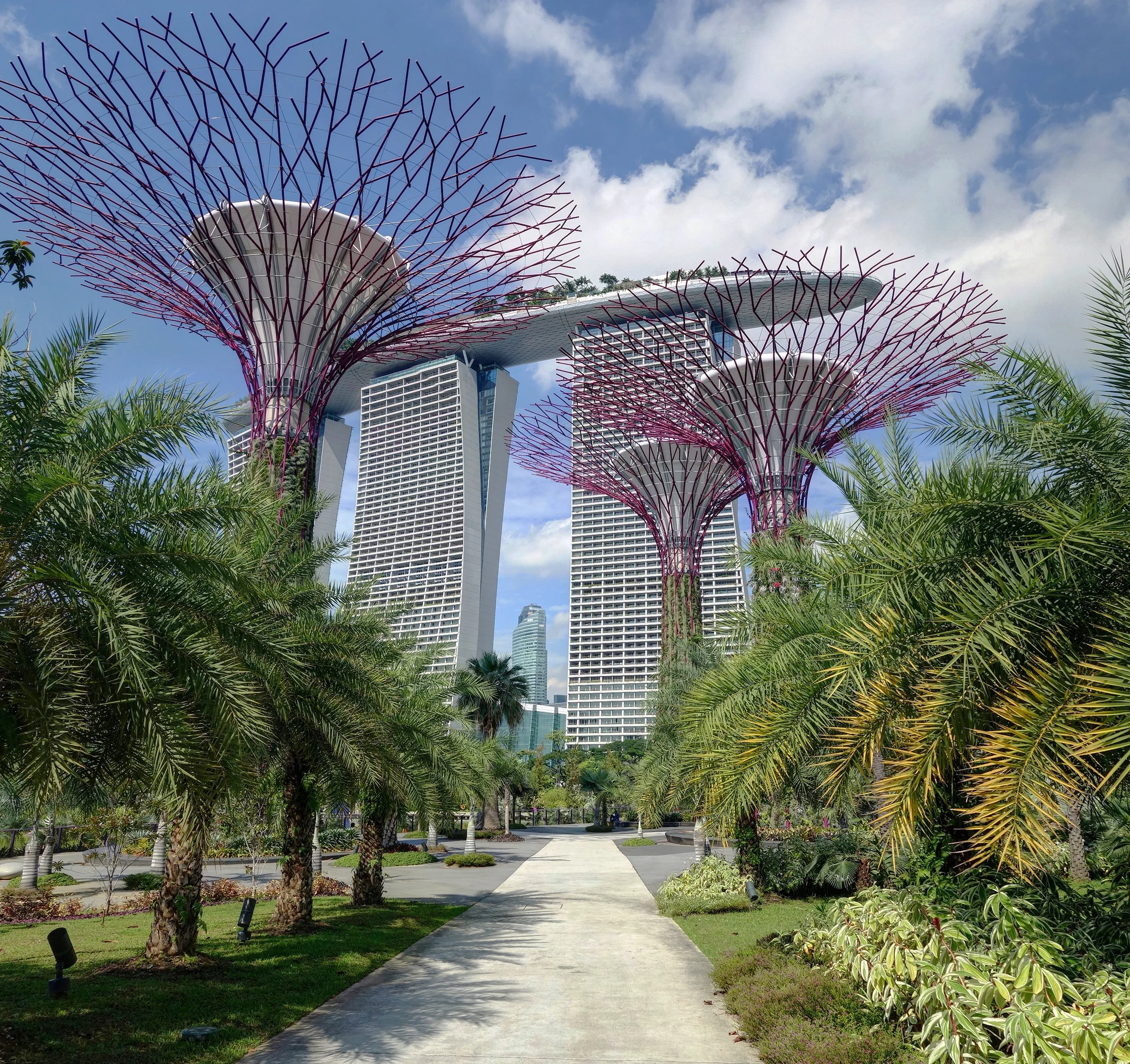 06- Gardens by the Bay 3.jpg