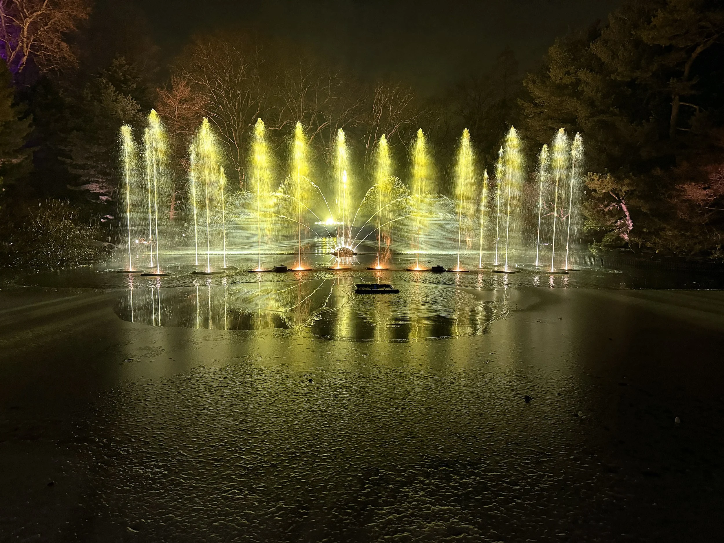 Lightscape at the Brooklyn Botanic Gardens