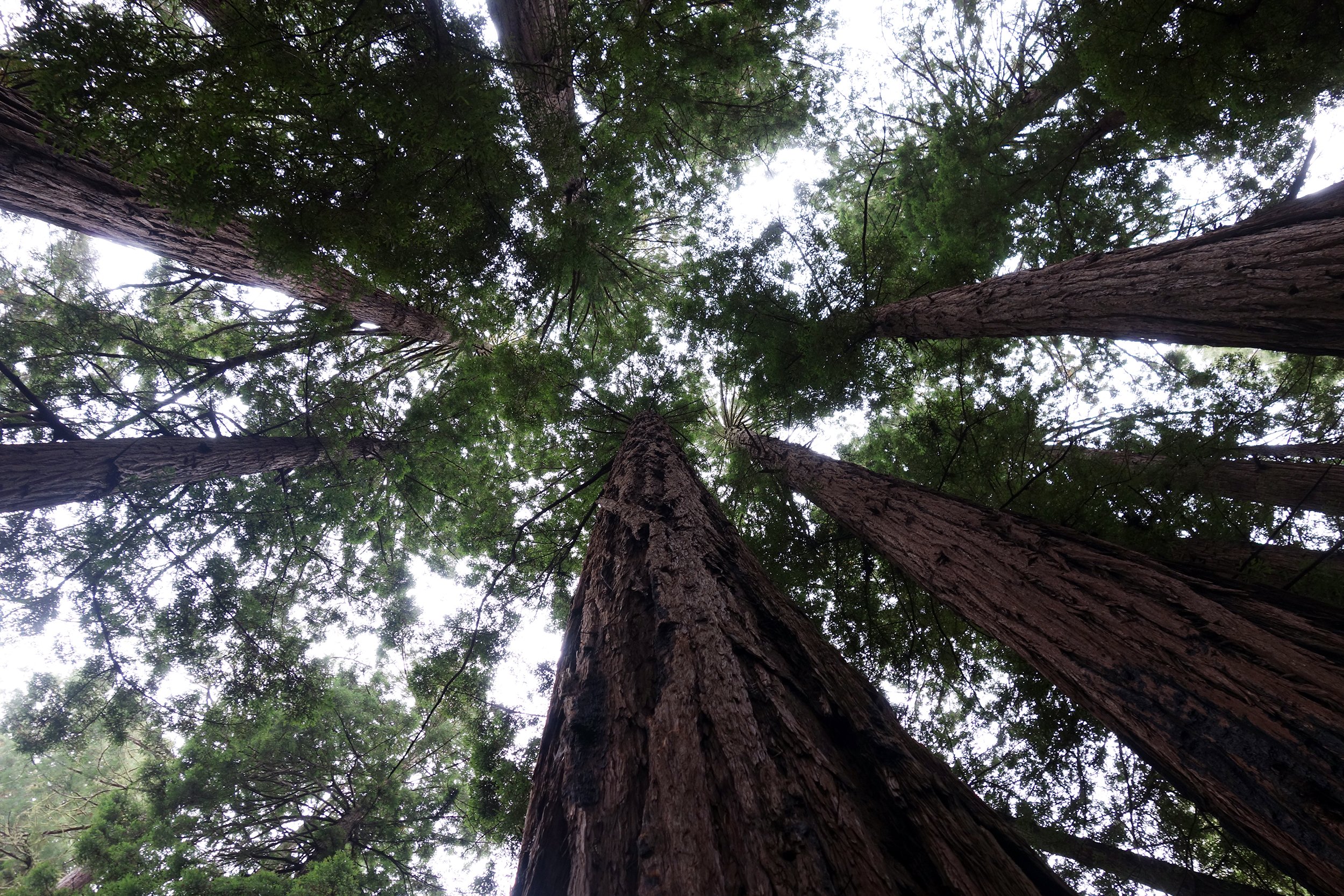 _C05 San Francisco 07-2.JPG