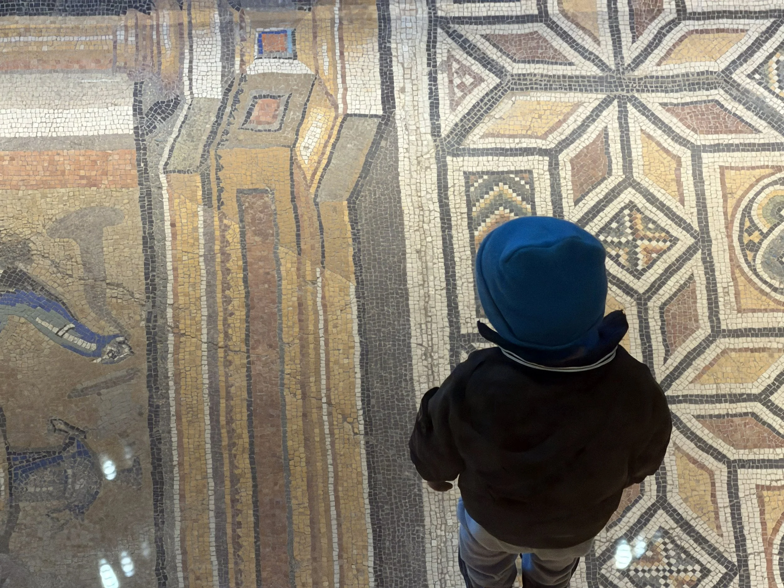 Princeton Art Museum