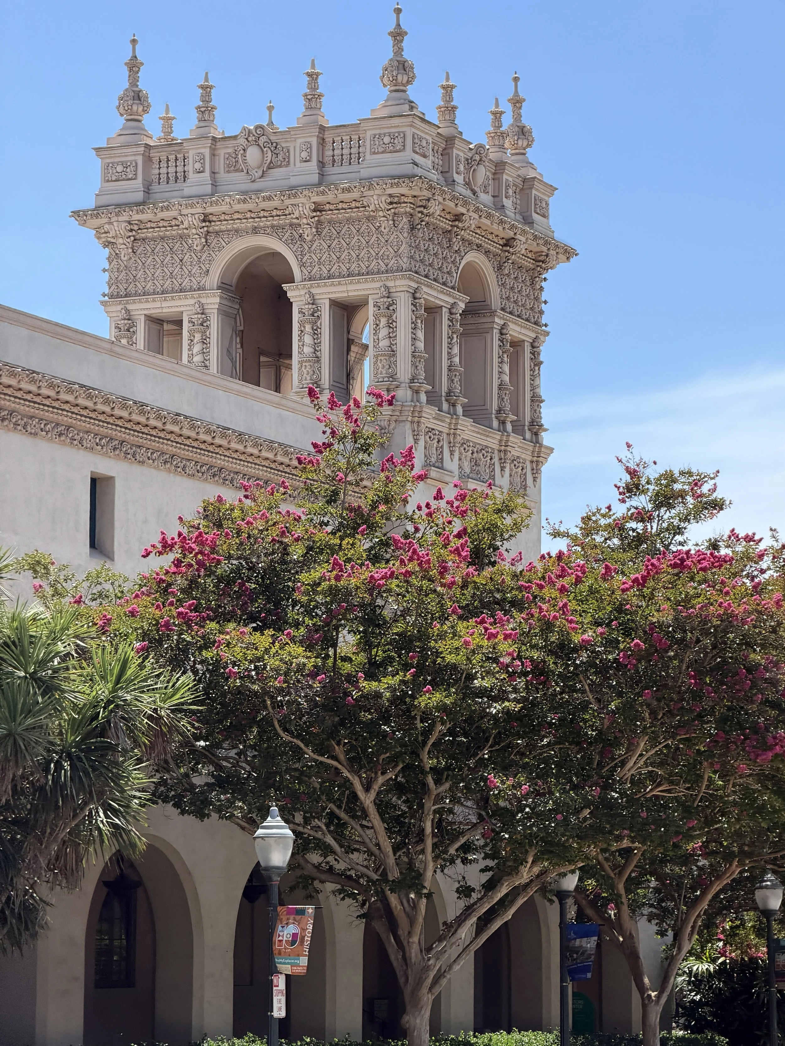 Photograph of an ornate historic building tower with intricate carvings and decorative spires against a clear blue sky. In foreground, lush trees with pink flowers and street lamps line an arched walkway beneath the building.