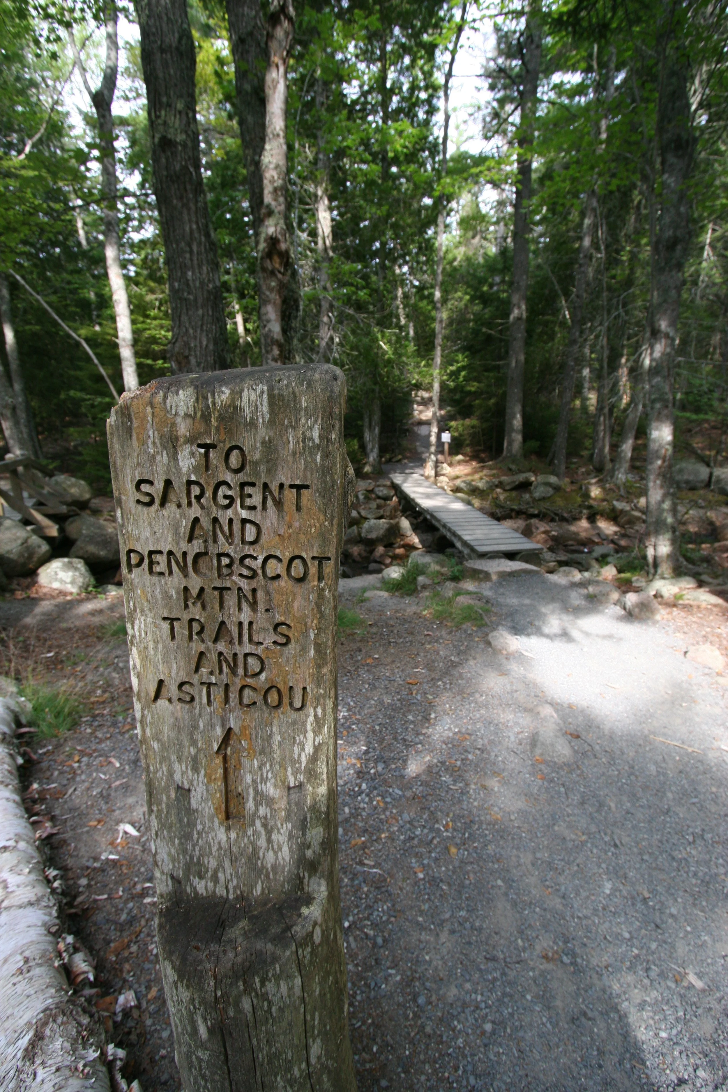 Acadia National Park in Maine