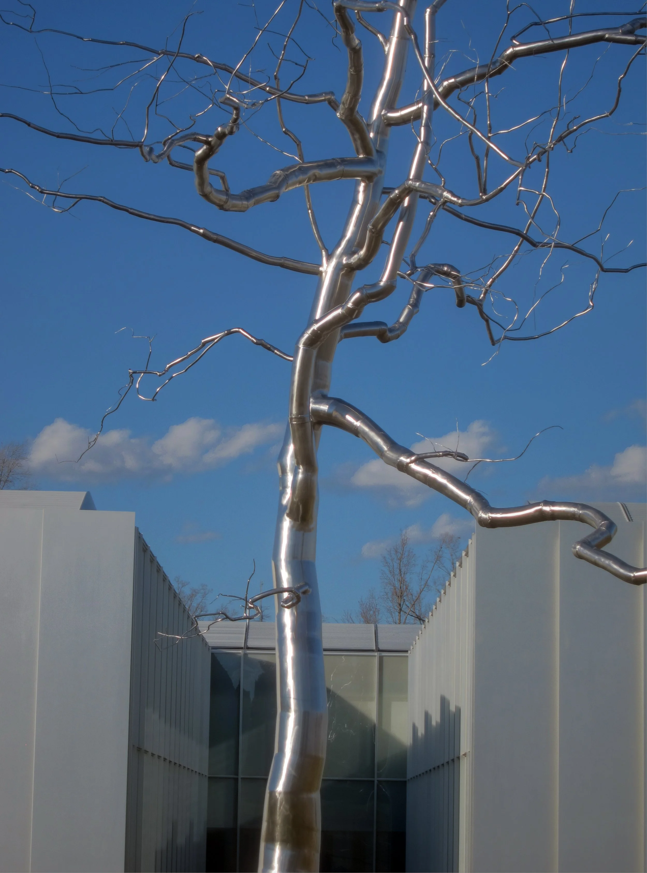 North Carolina Museum of Art