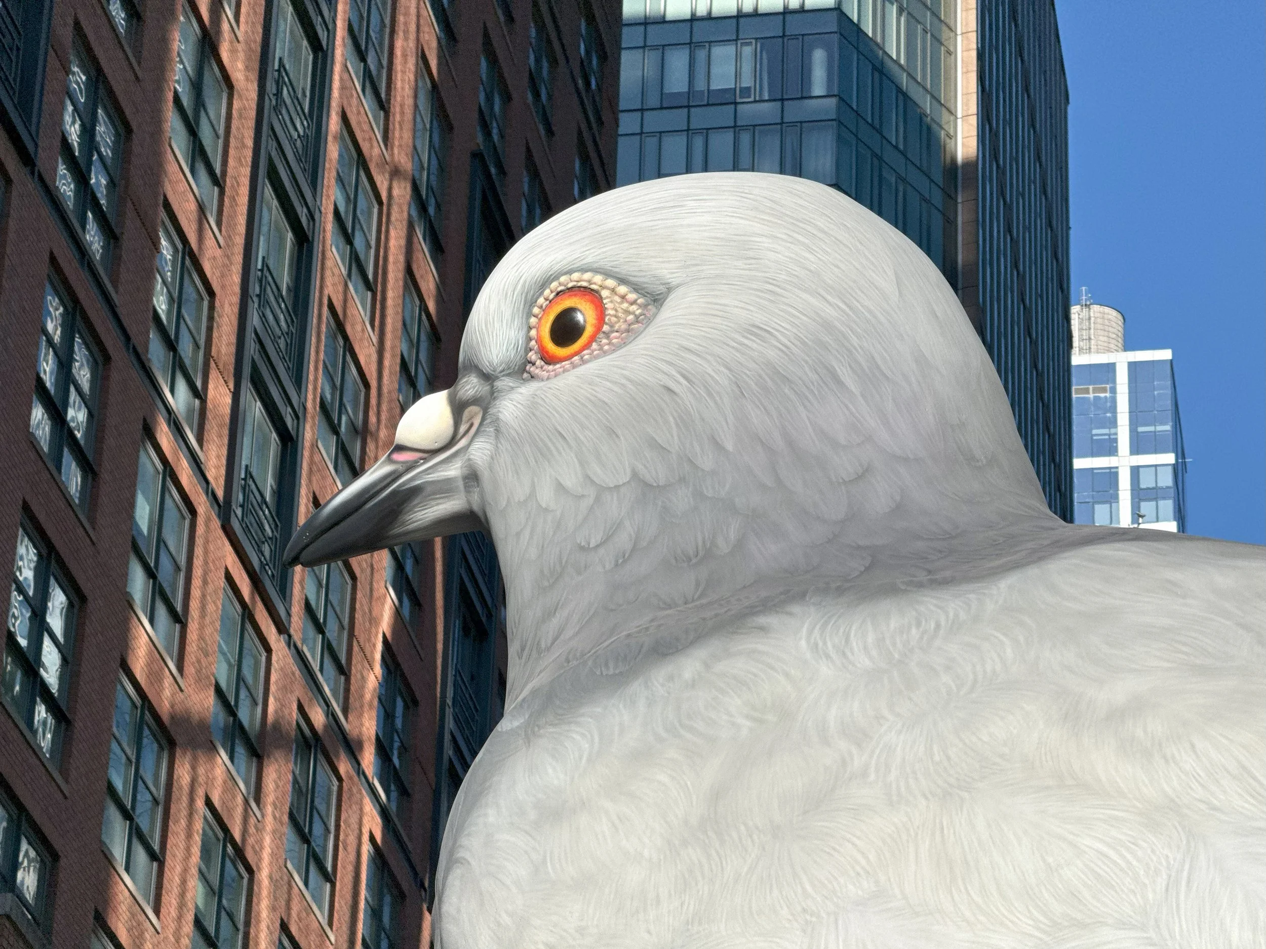 D2 High Line 2 (2).jpg