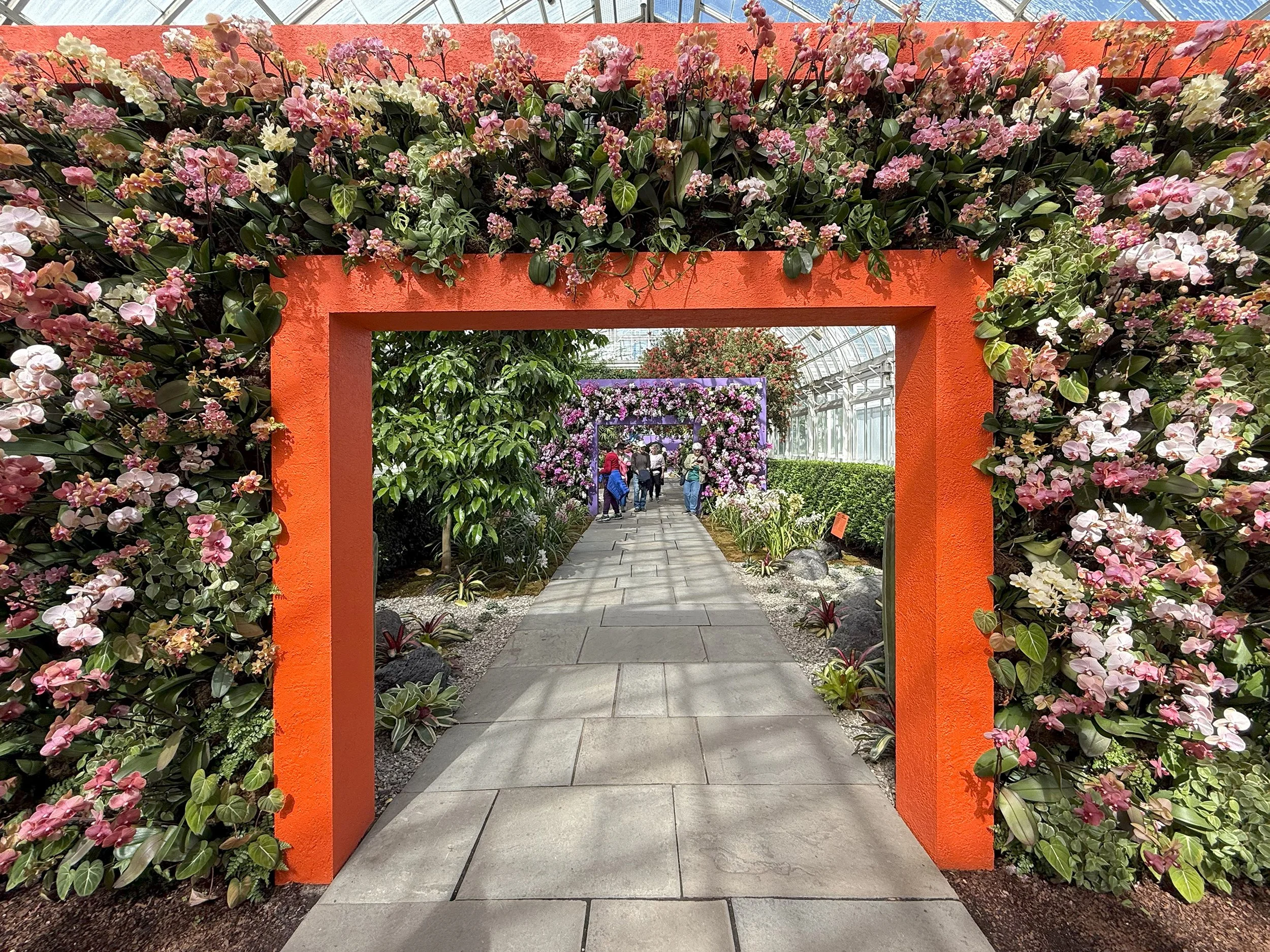 Orchid Show at the New York Botanical Gardens